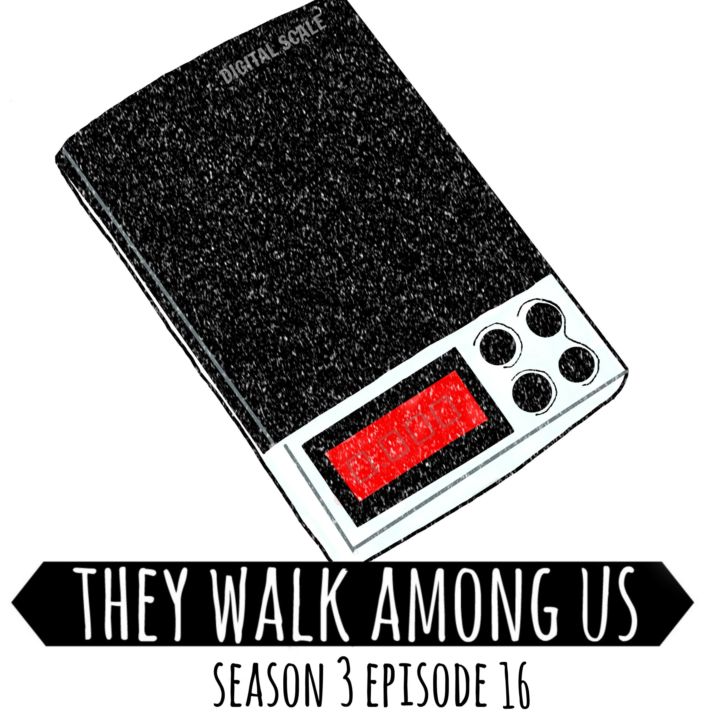 cover art for Season 3 - Episode 16