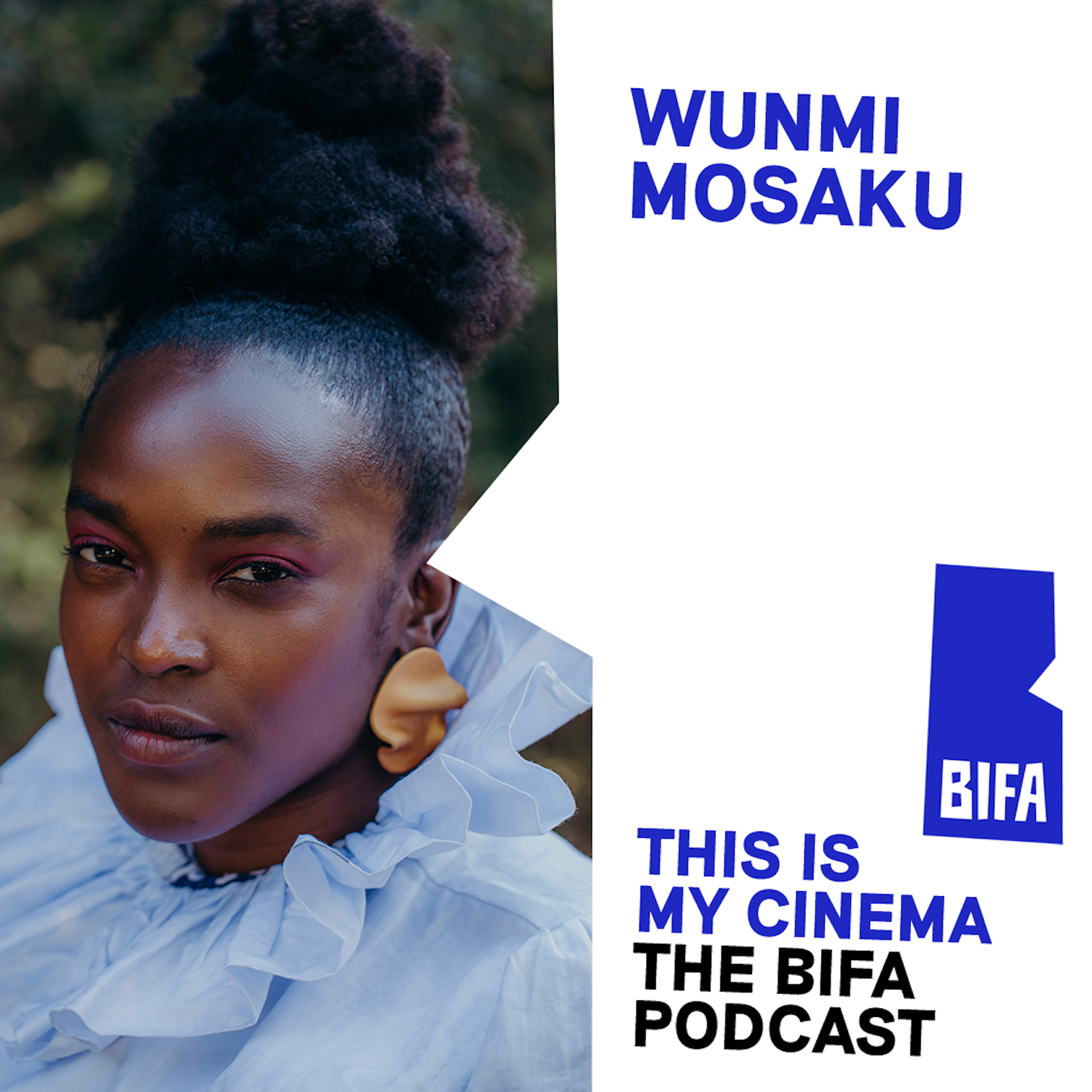 The BIFA Podcast