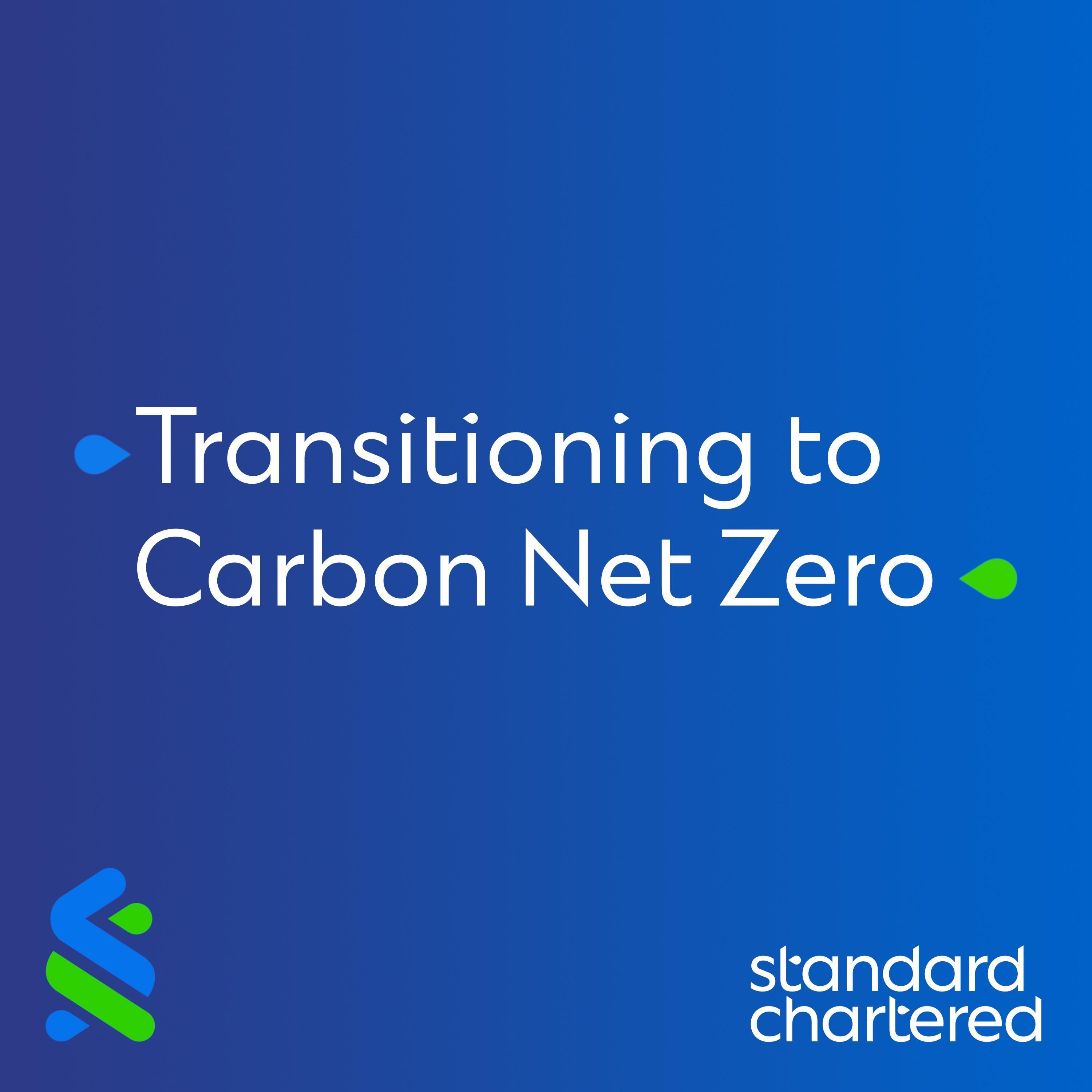 The Carbon Net Zero Challenge