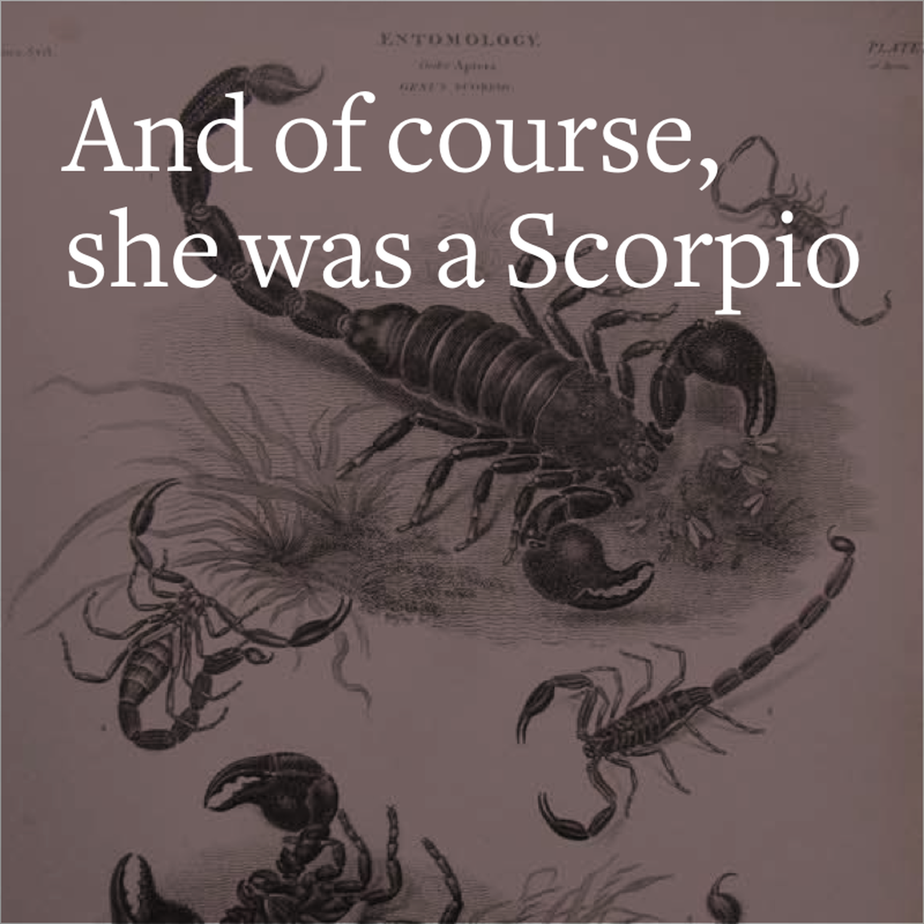 cover art for And of course, she was a Scorpio