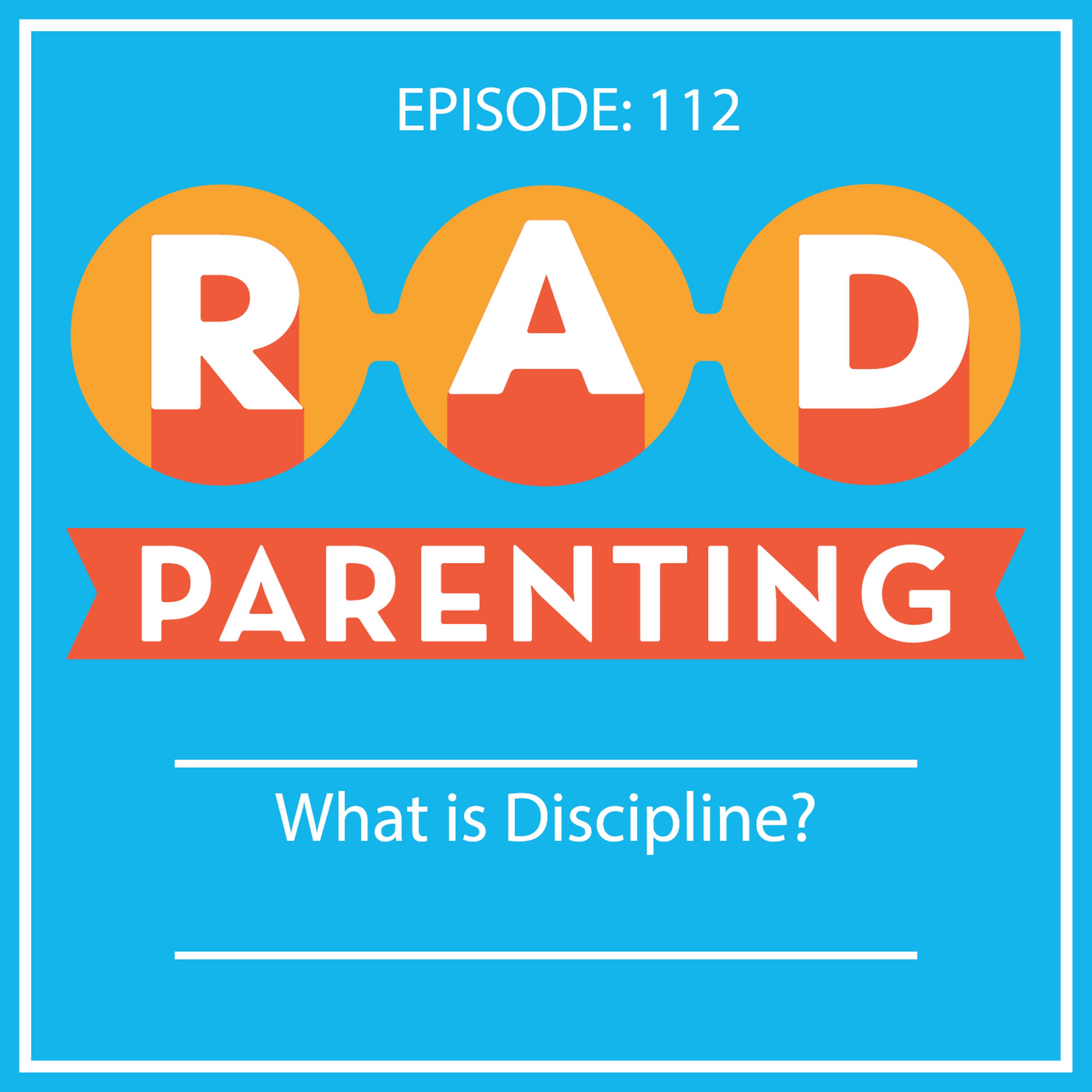 What is Discipline?