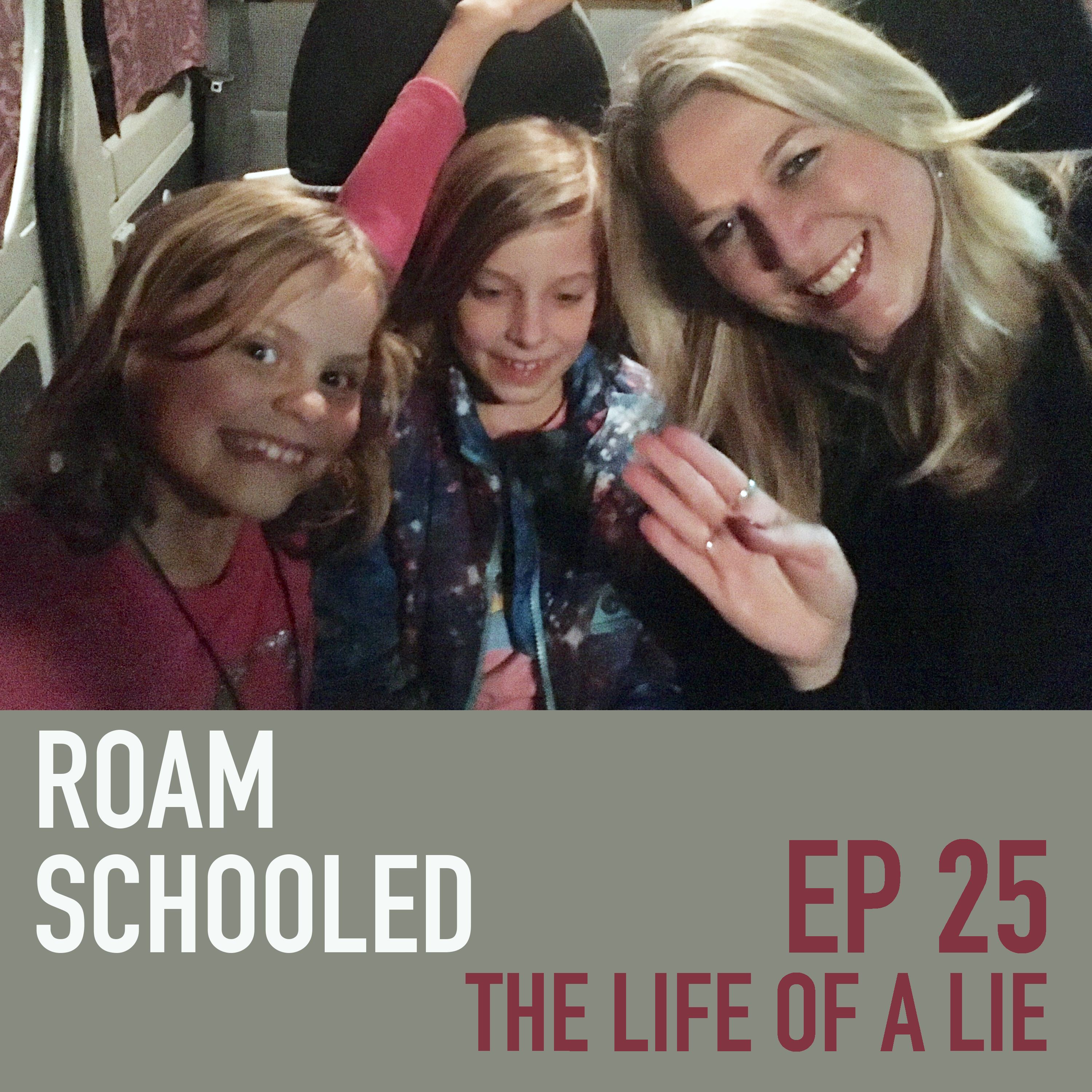 Roam Schooled