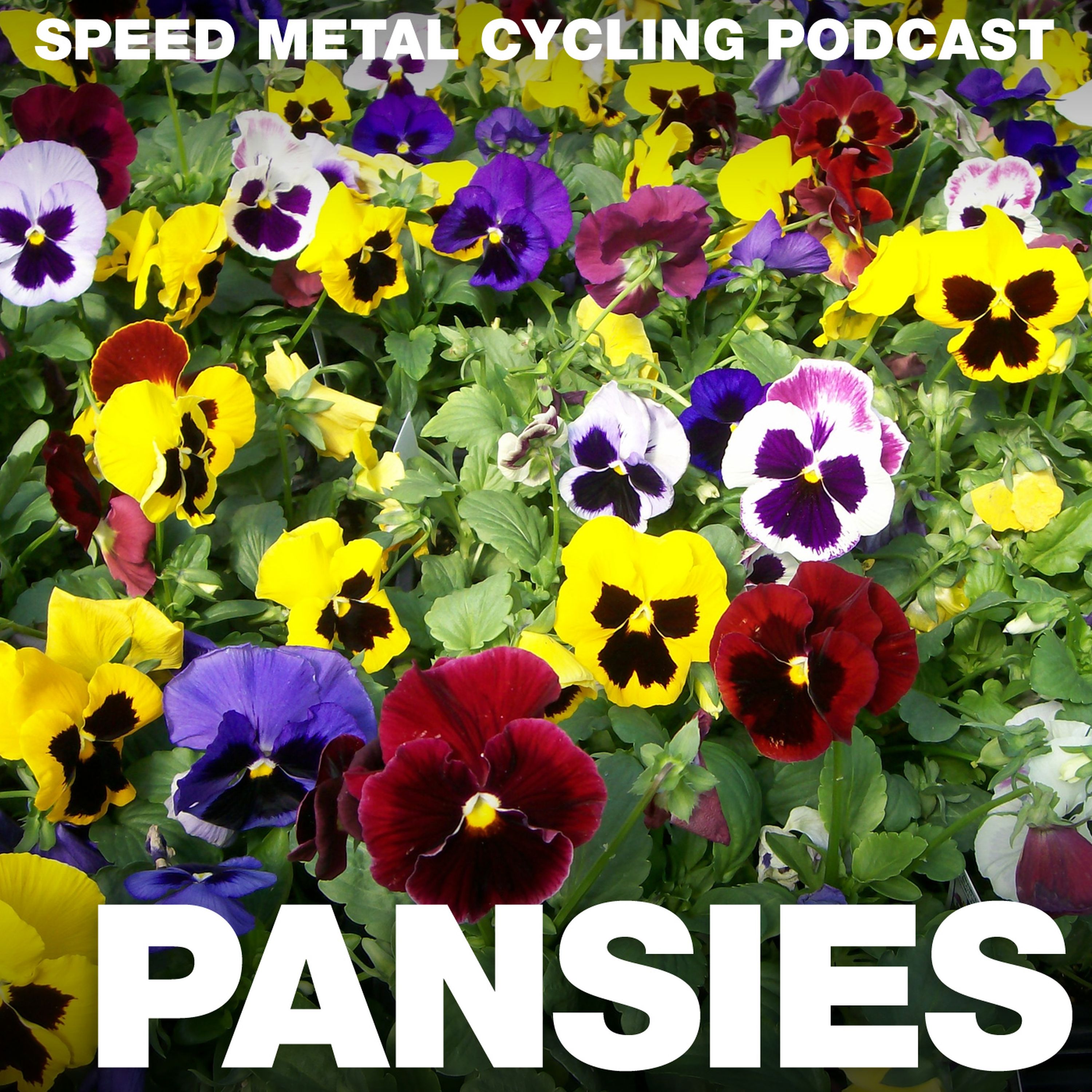 cover art for Pansies