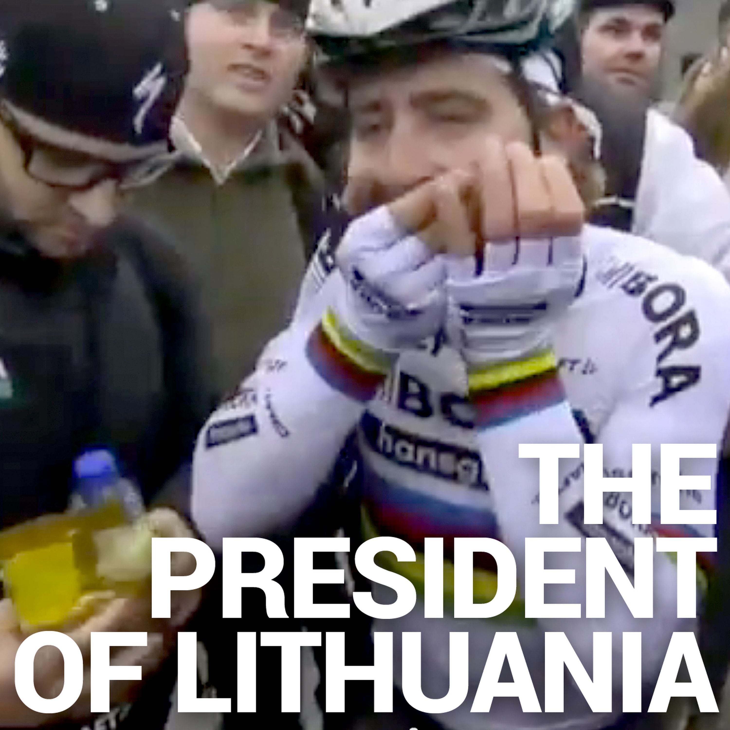 The President of Lithuania