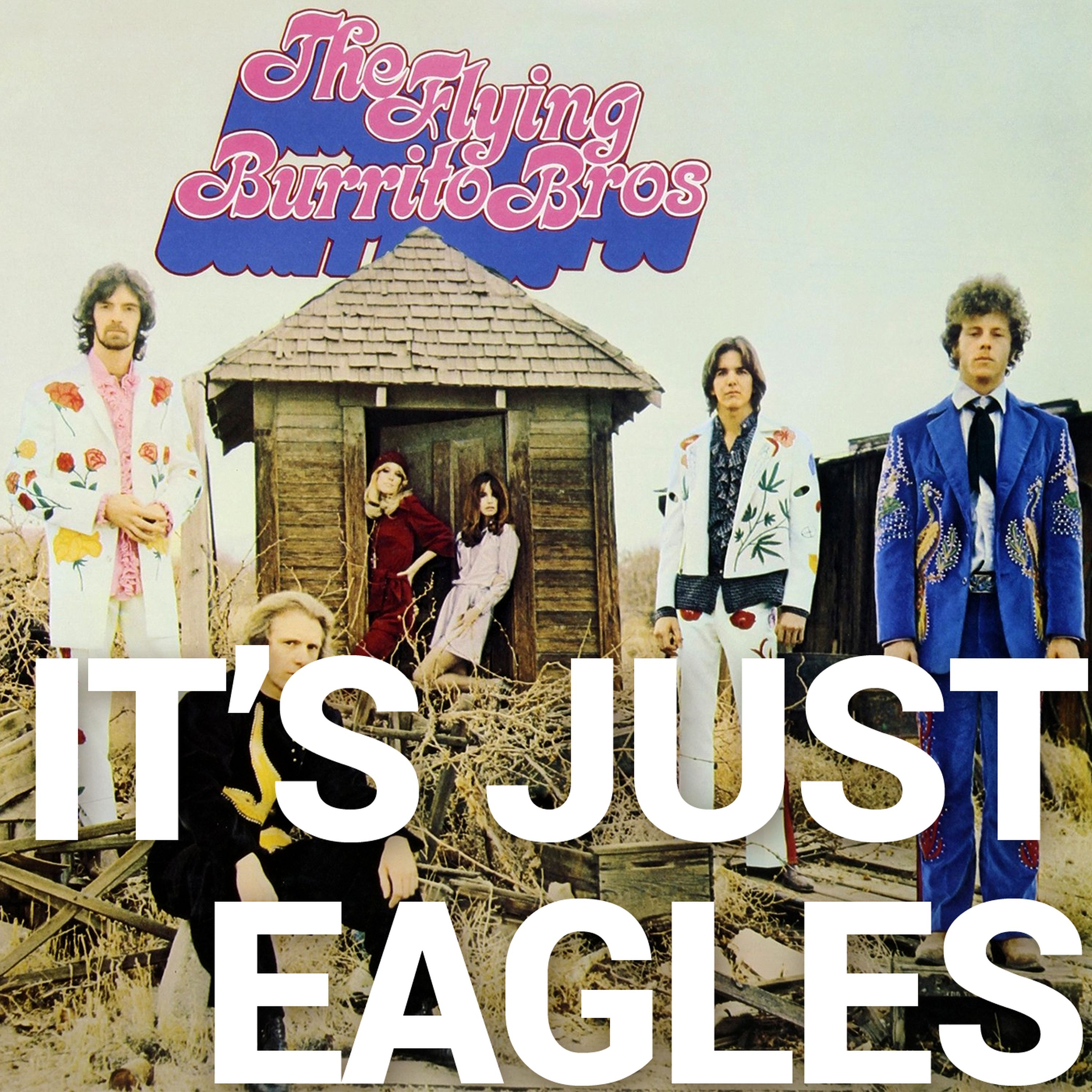 It's Just Eagles episode artwork