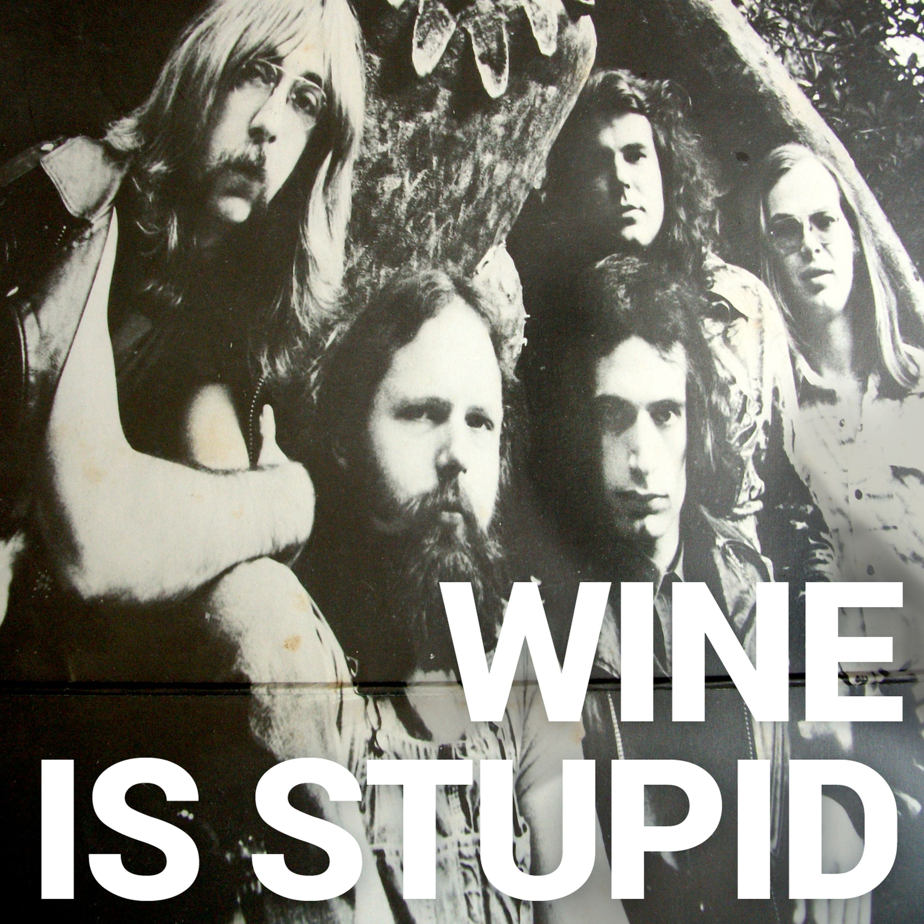 Wine Is Stupid