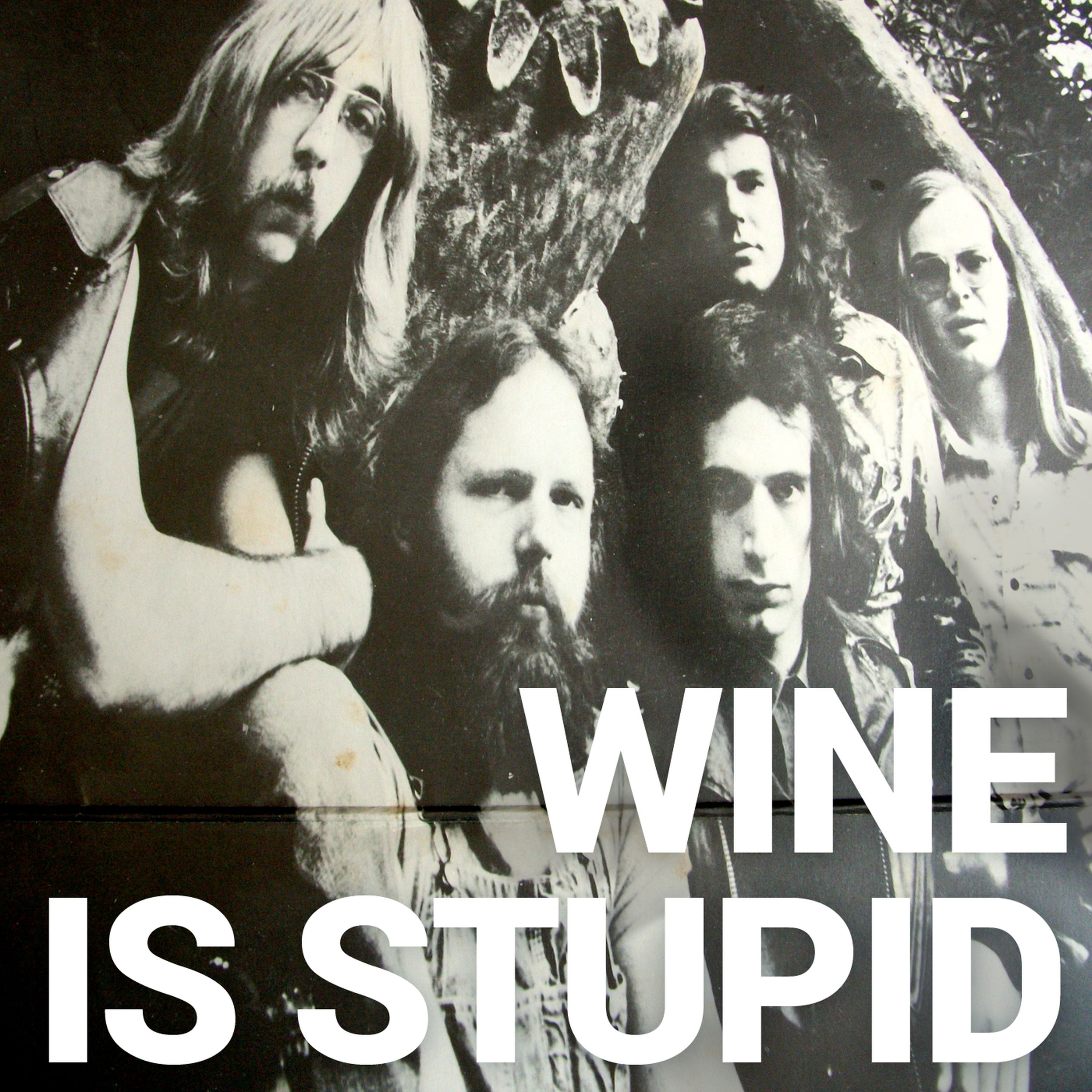 Wine Is Stupid episode artwork