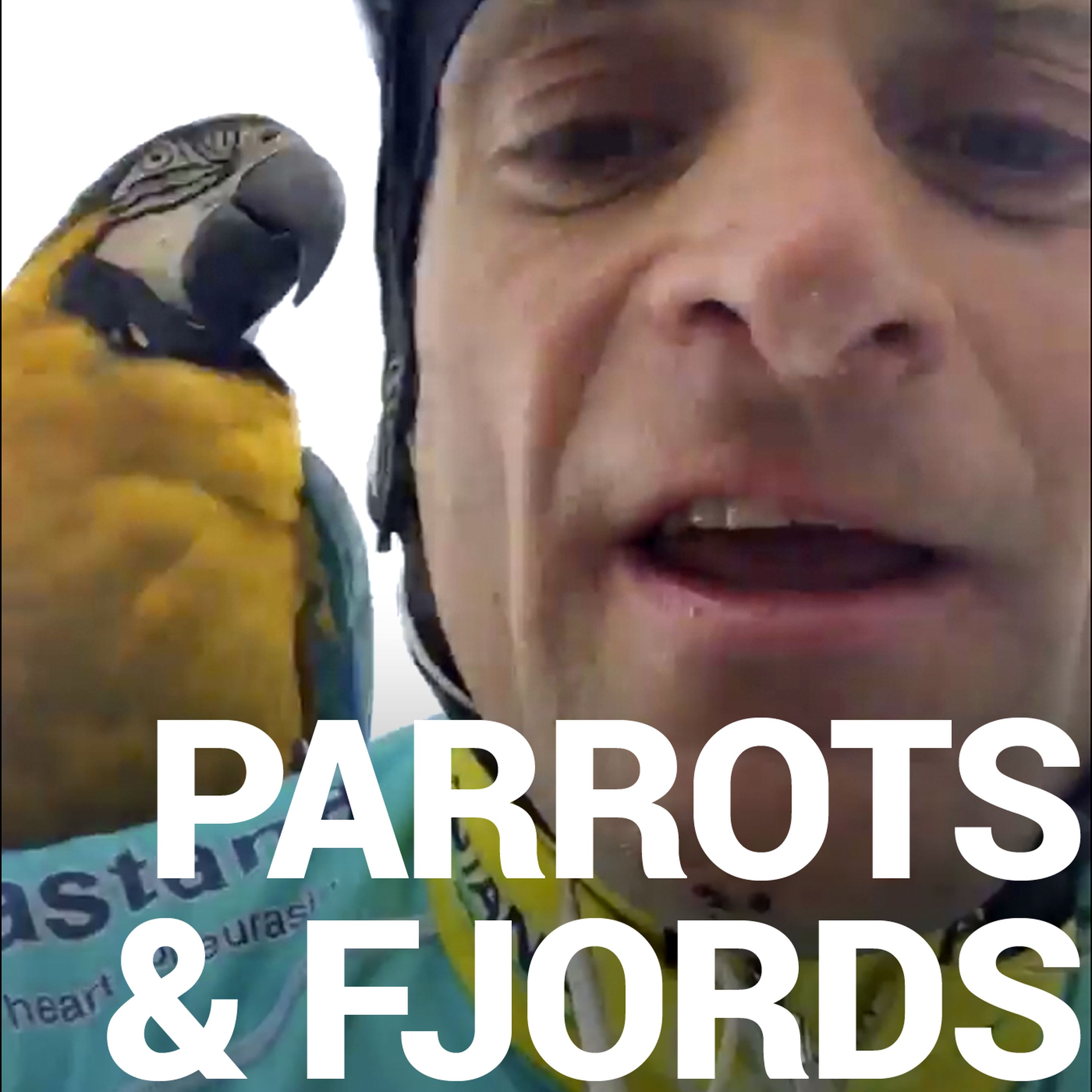 PARROTS & FJORDS episode artwork