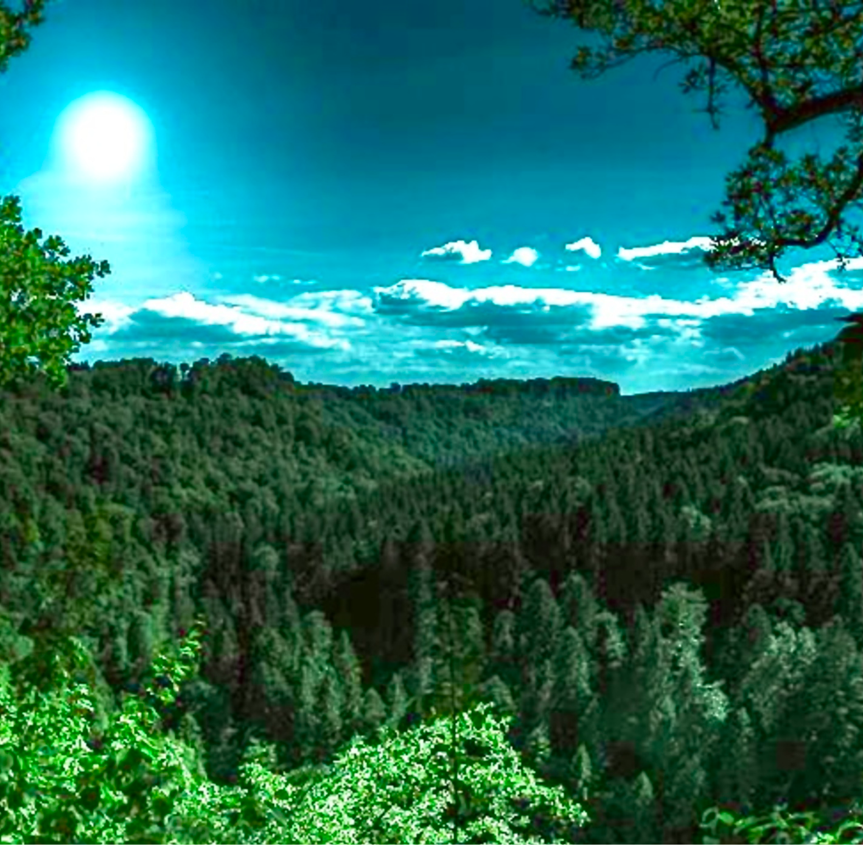 El hombre del hoyo (24 años en absoluta soledad)