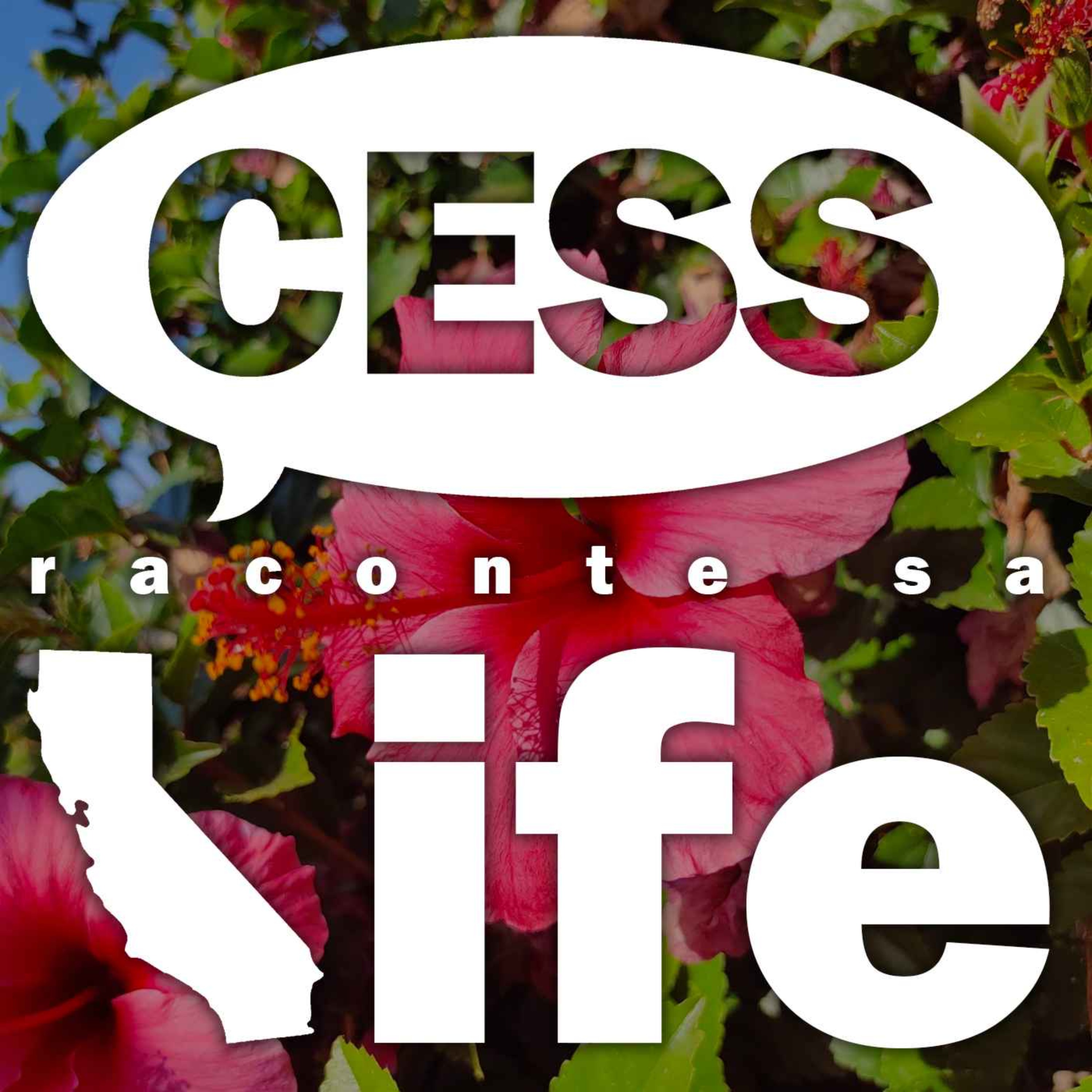 Cess raconte sa life