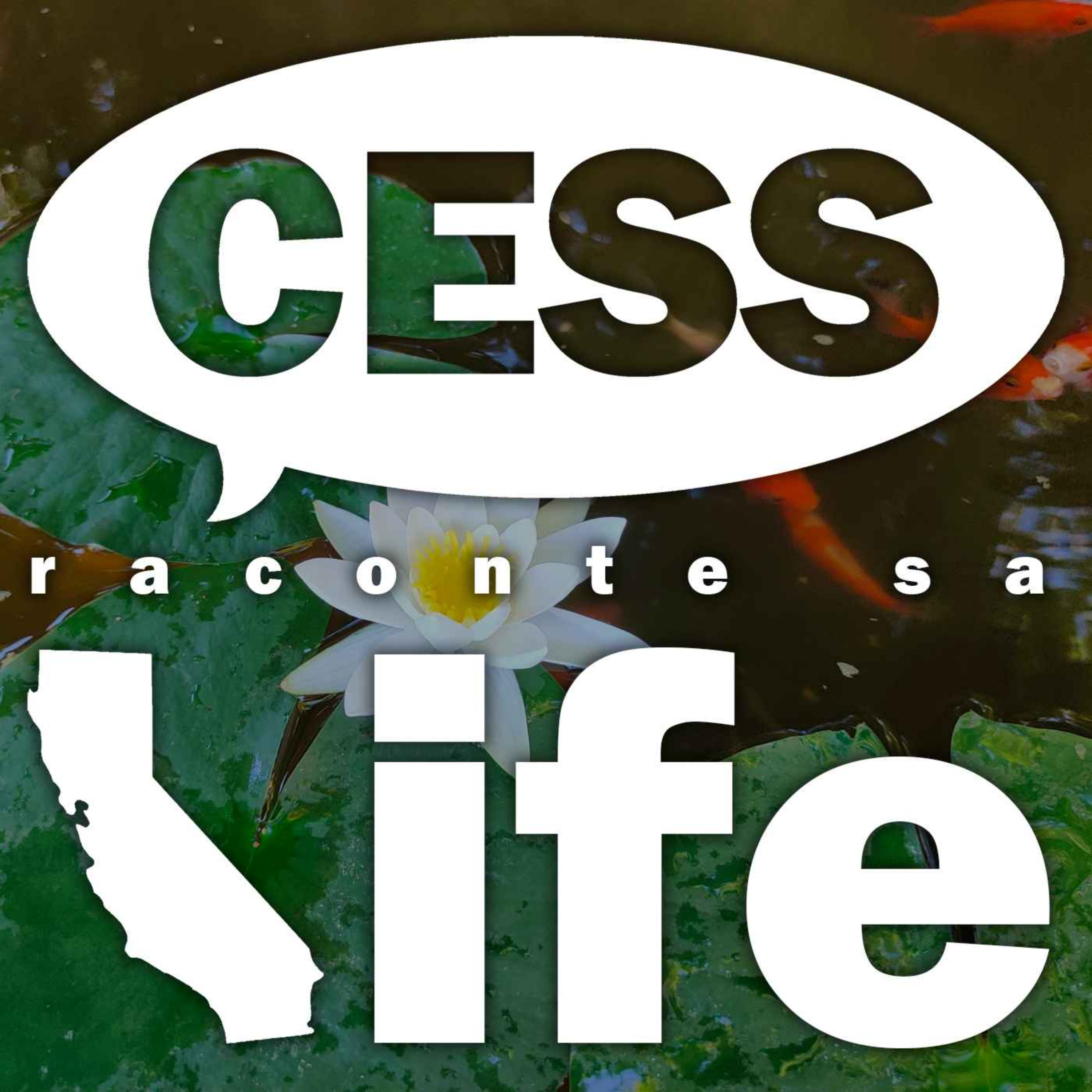 Cess raconte sa life