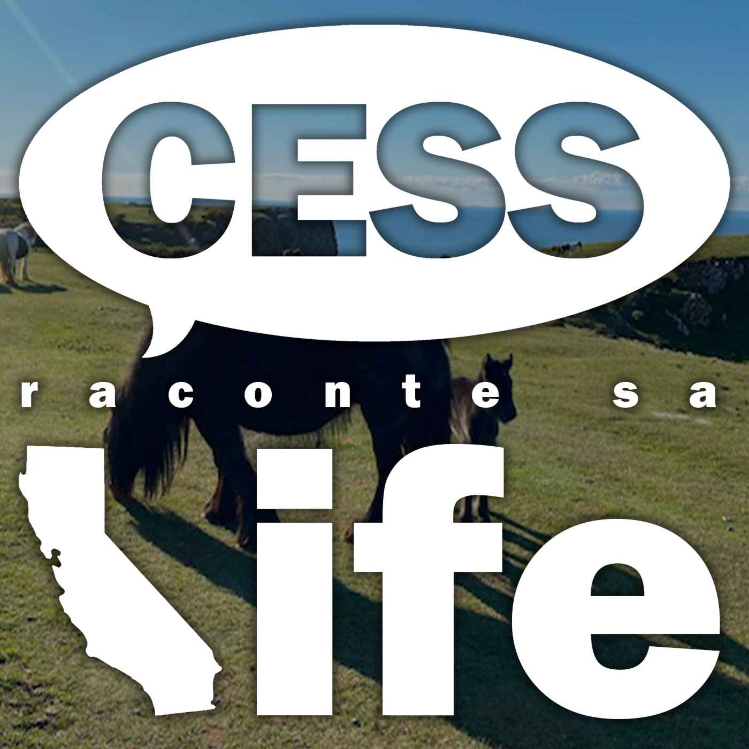 Cess raconte sa life