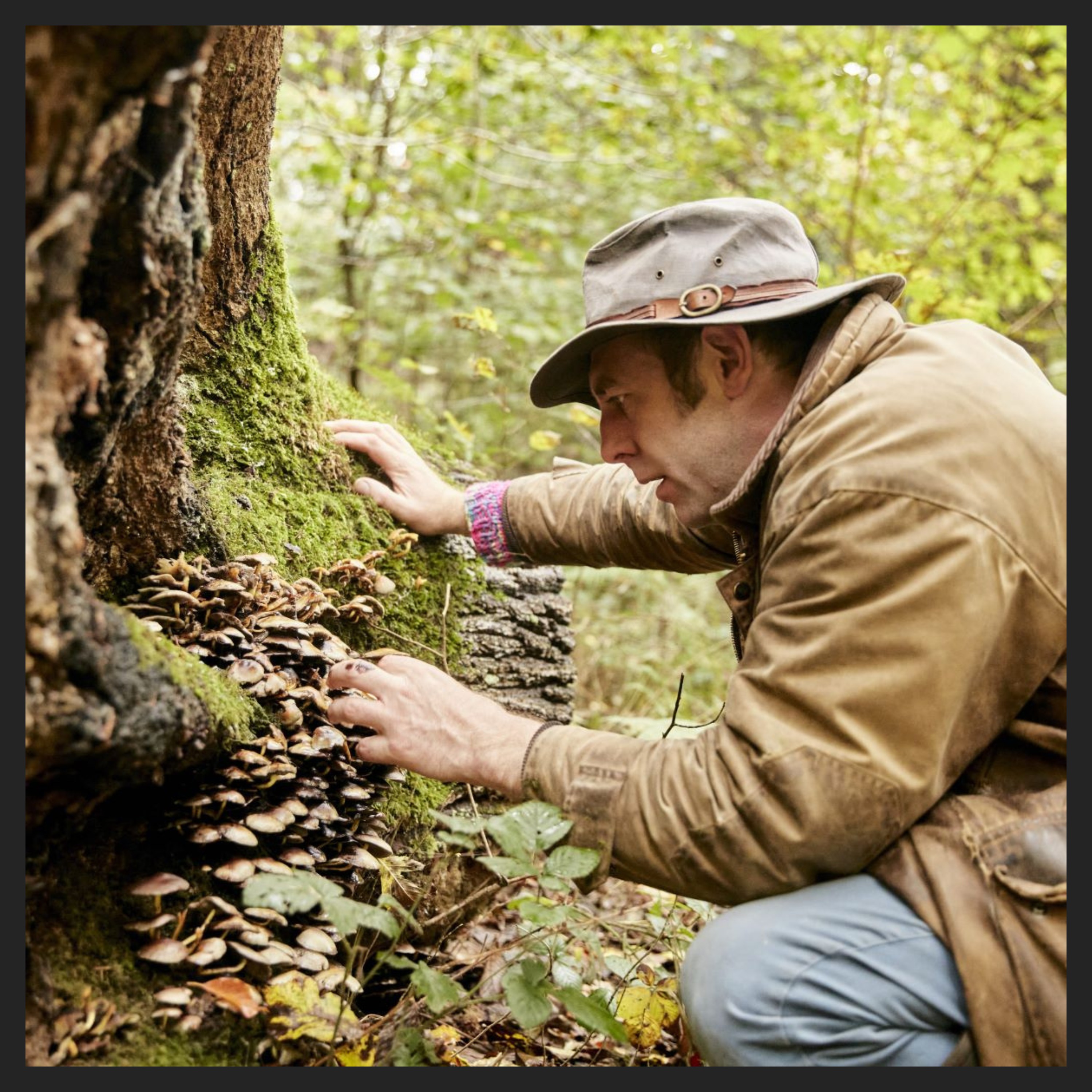 #284 Reishi, Lions Mane, Cordyceps, Maitake and more with Tom Baxter Farmer and Mushroom Expert