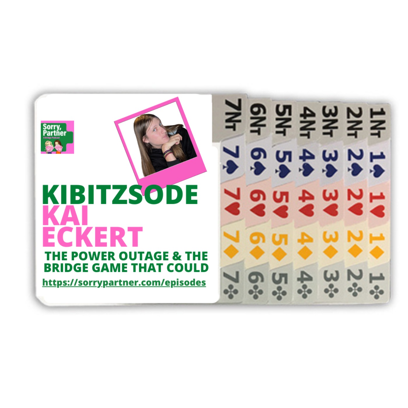 Kibitzsode: The Power Outage and the Bridge Game That Could