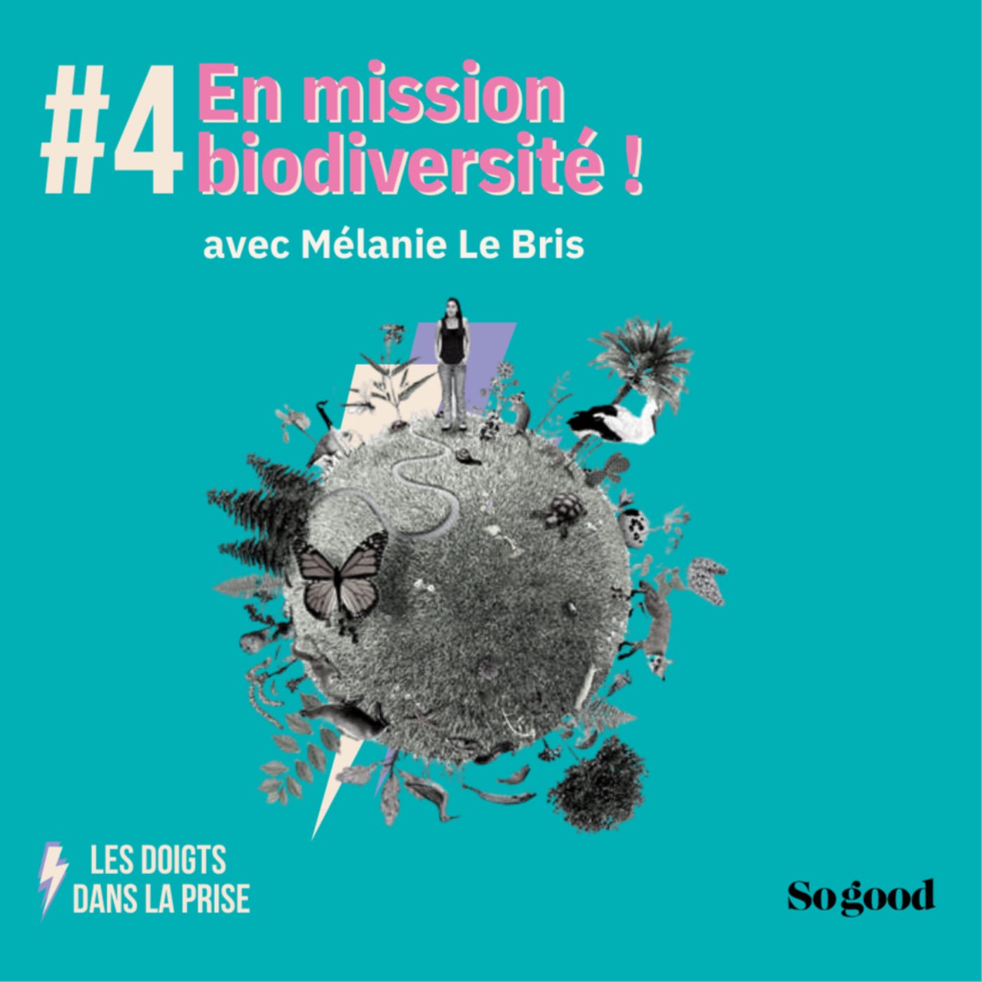 cover art for Episode 4 : en mission biodiversité avec Mélanie le Bris