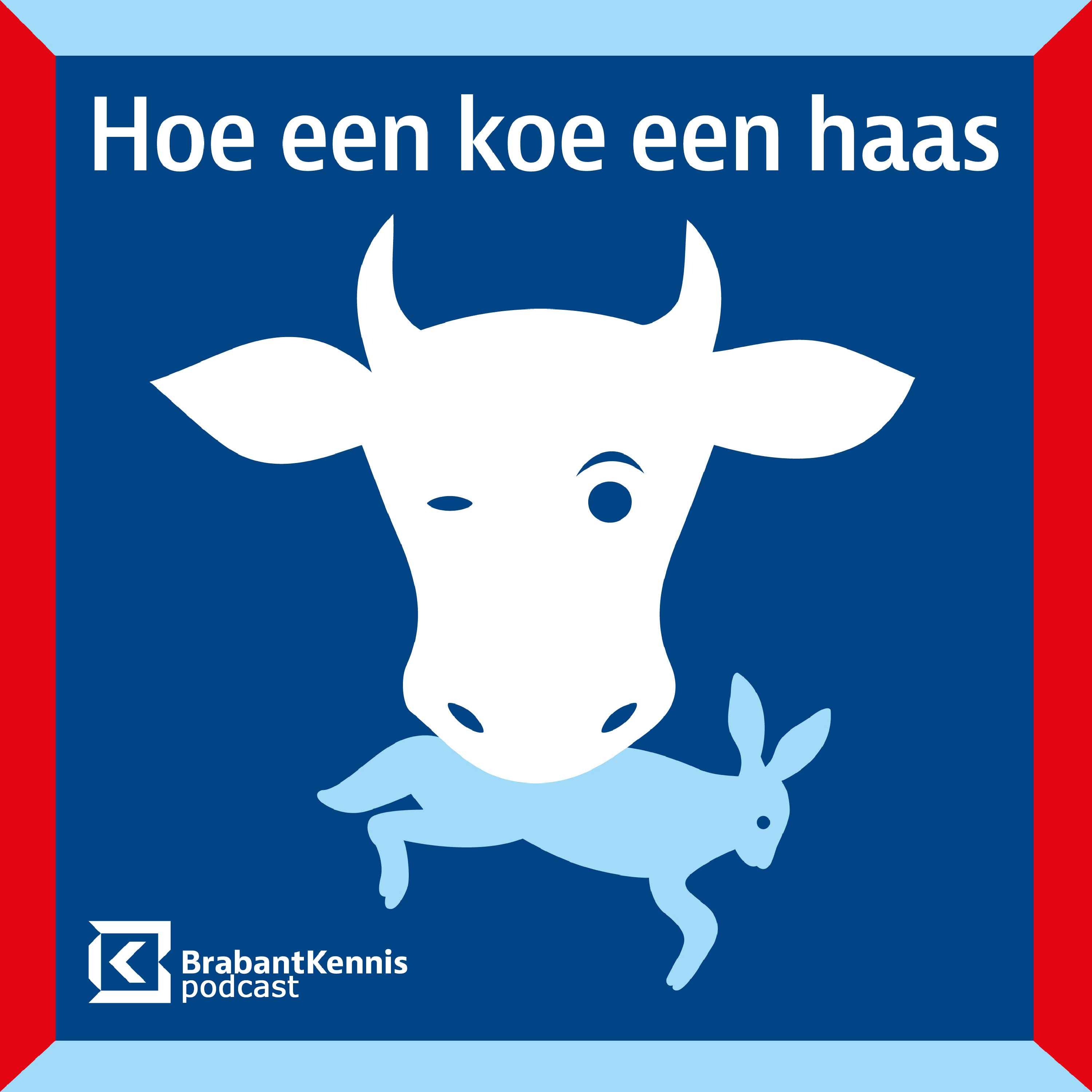 cover art for Hoe een koe een haas - BrabantKennis podcast - trailer 