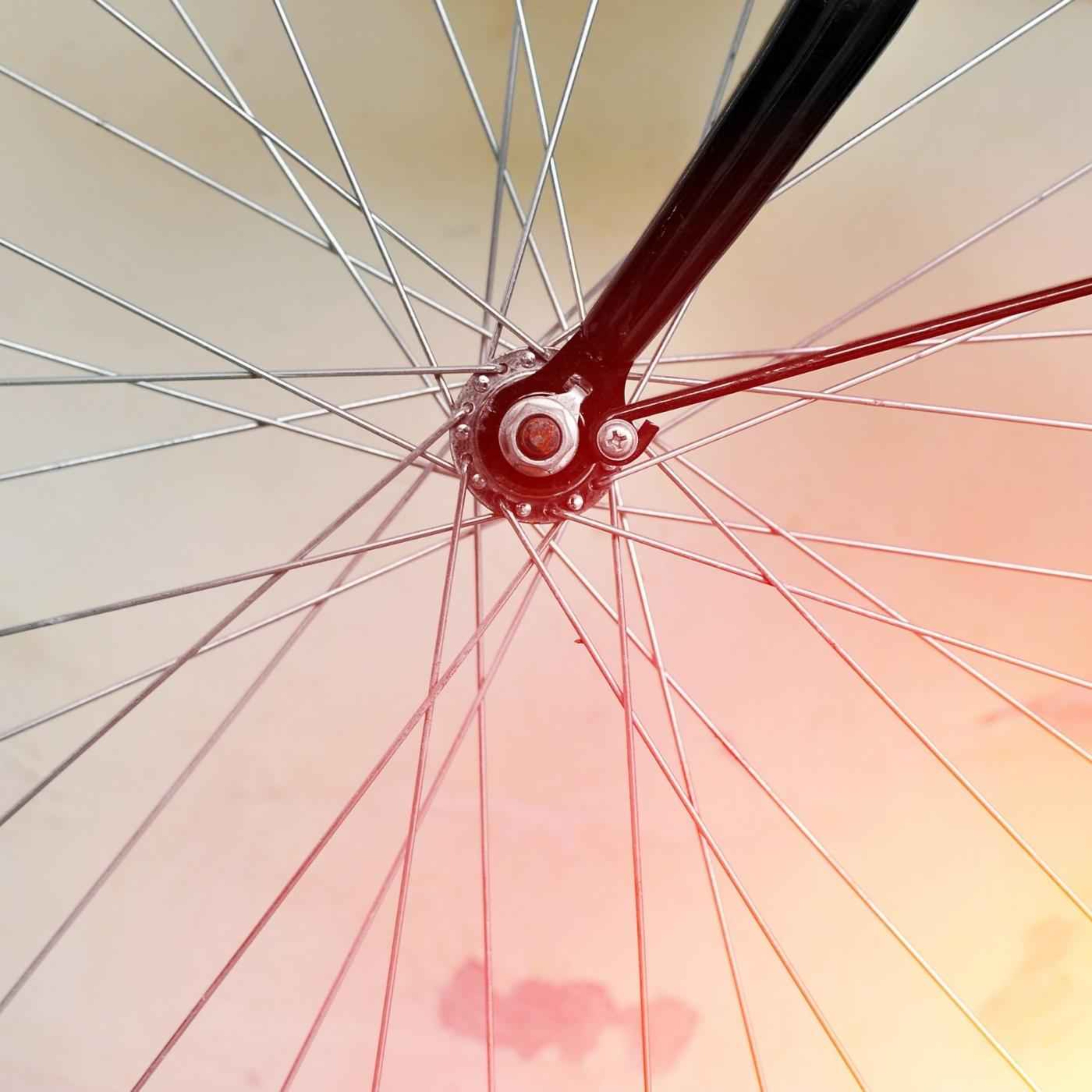 Dans les coulisses du Tour de France...