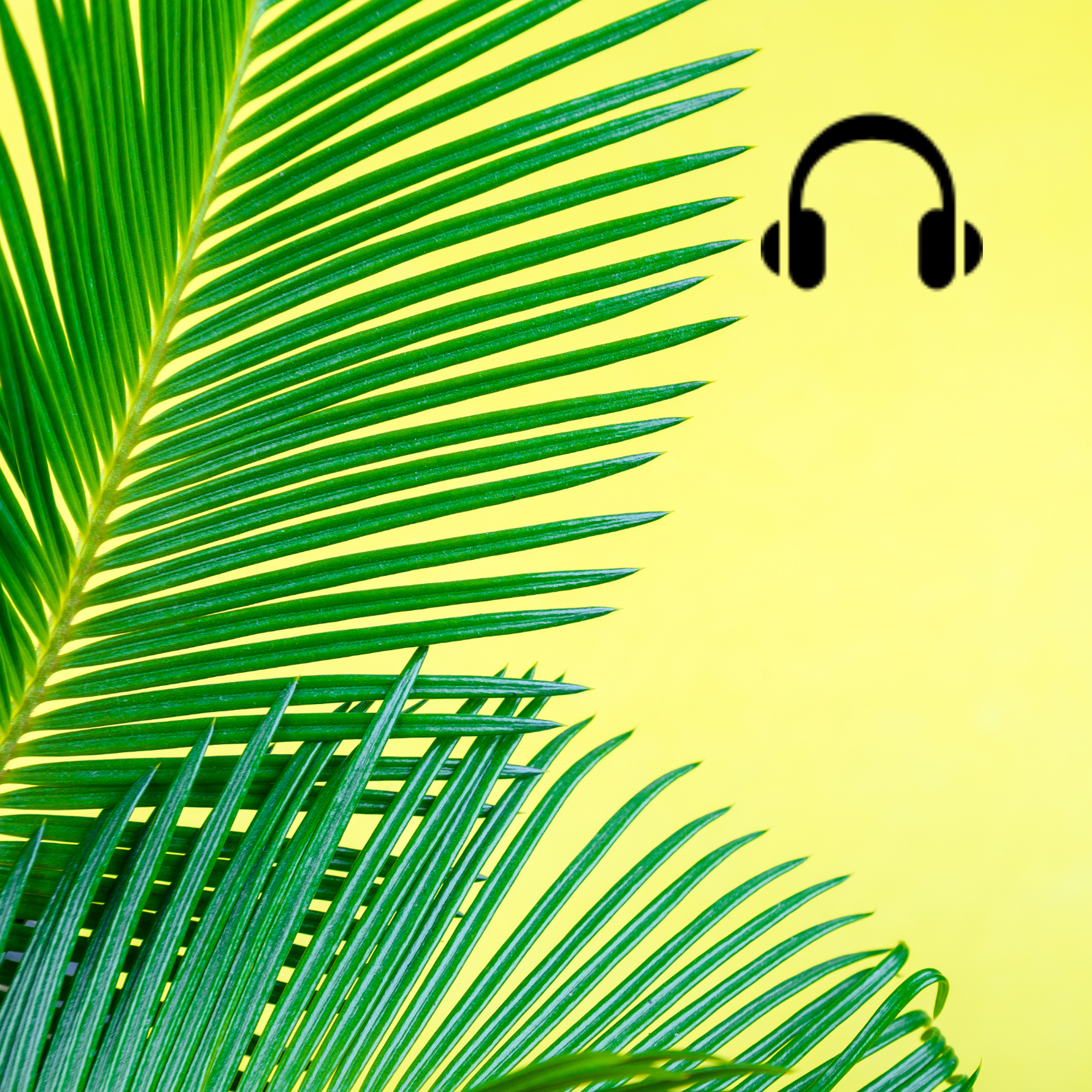 Koh-Lanta: 20 ans de jeu télé suivi par 20 Minutes