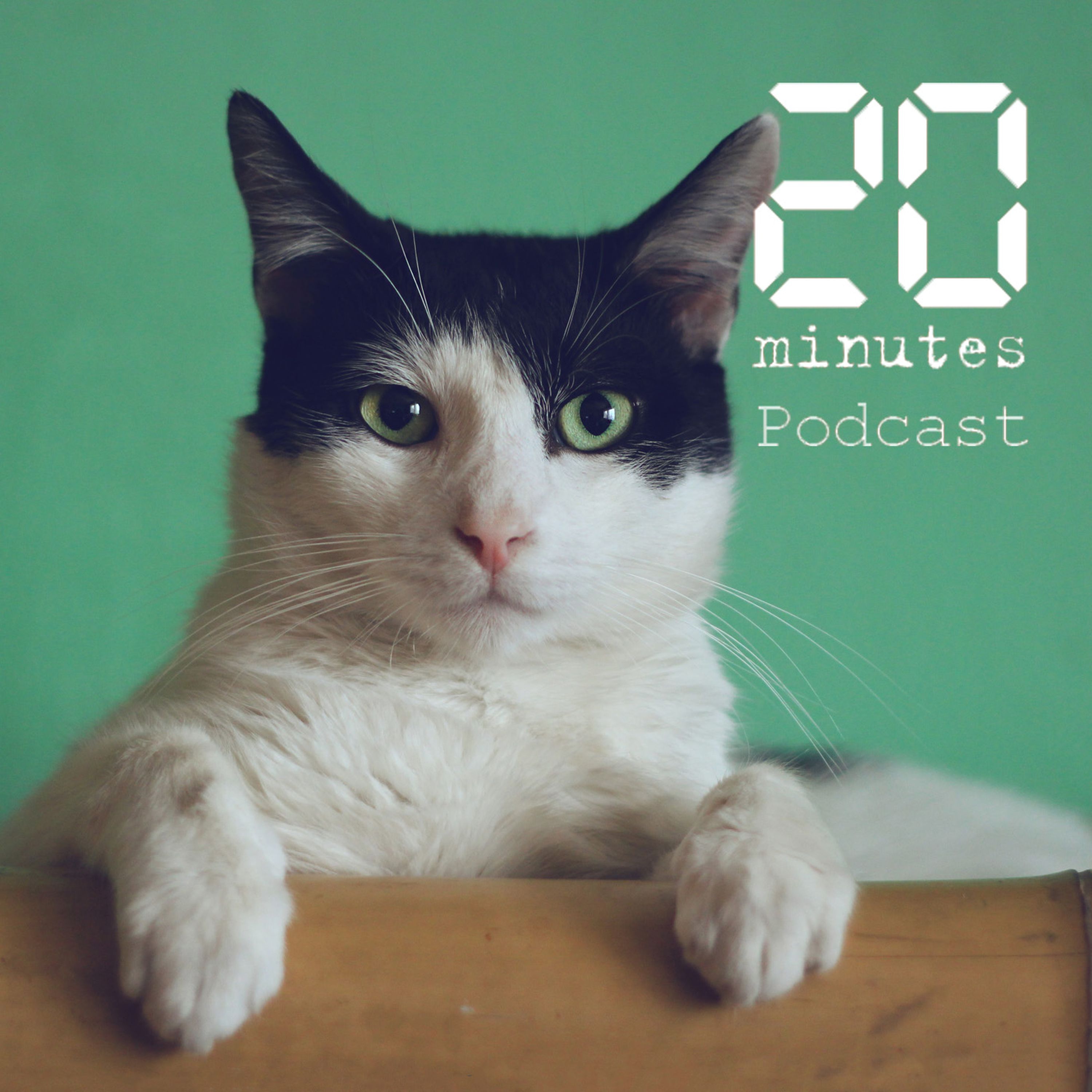 Pourquoi les cas de maltraitance et d'abandon d'animaux sont à la hausse?