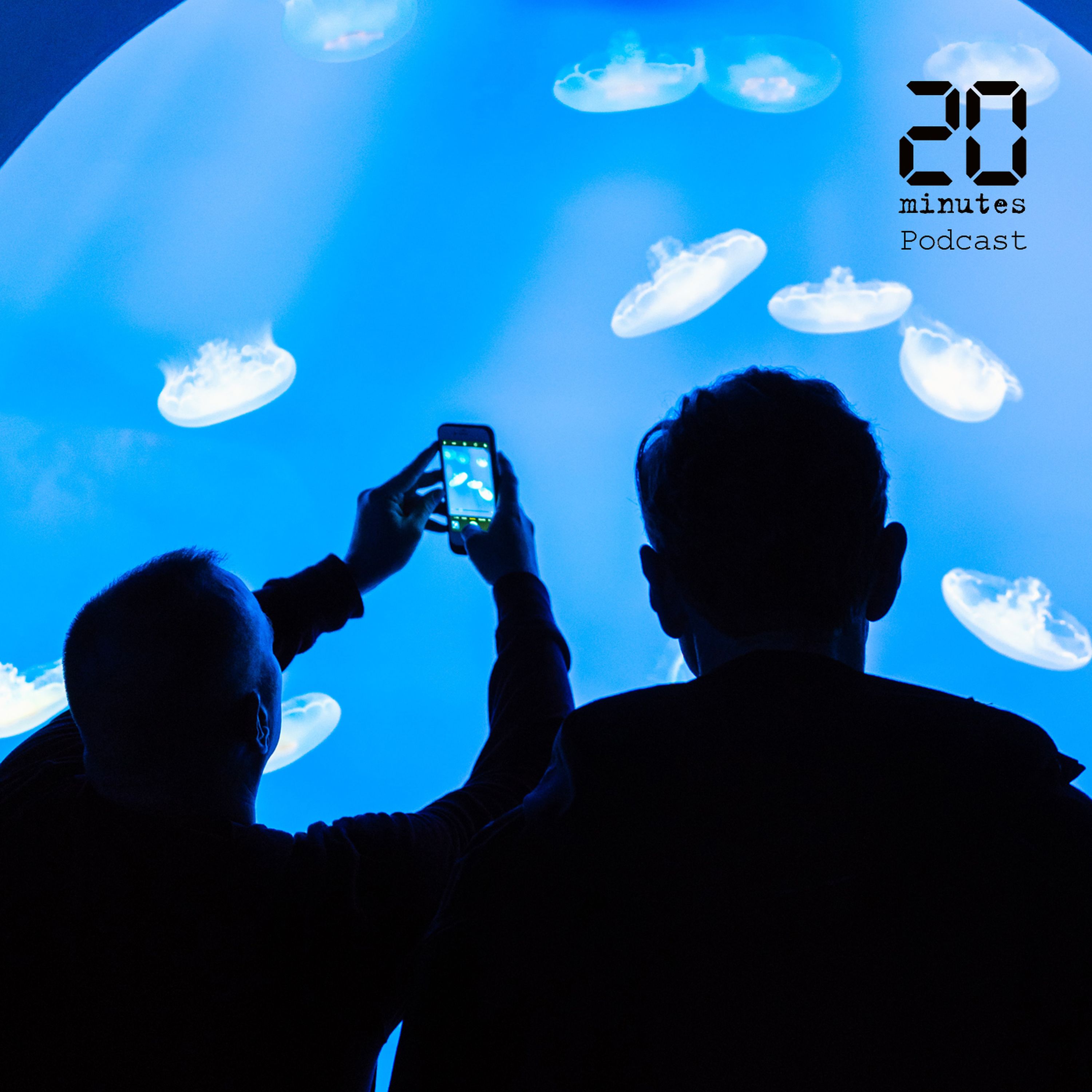 Les animaux du grand aquarium de Saint-Malo flippés au retour des visiteurs?