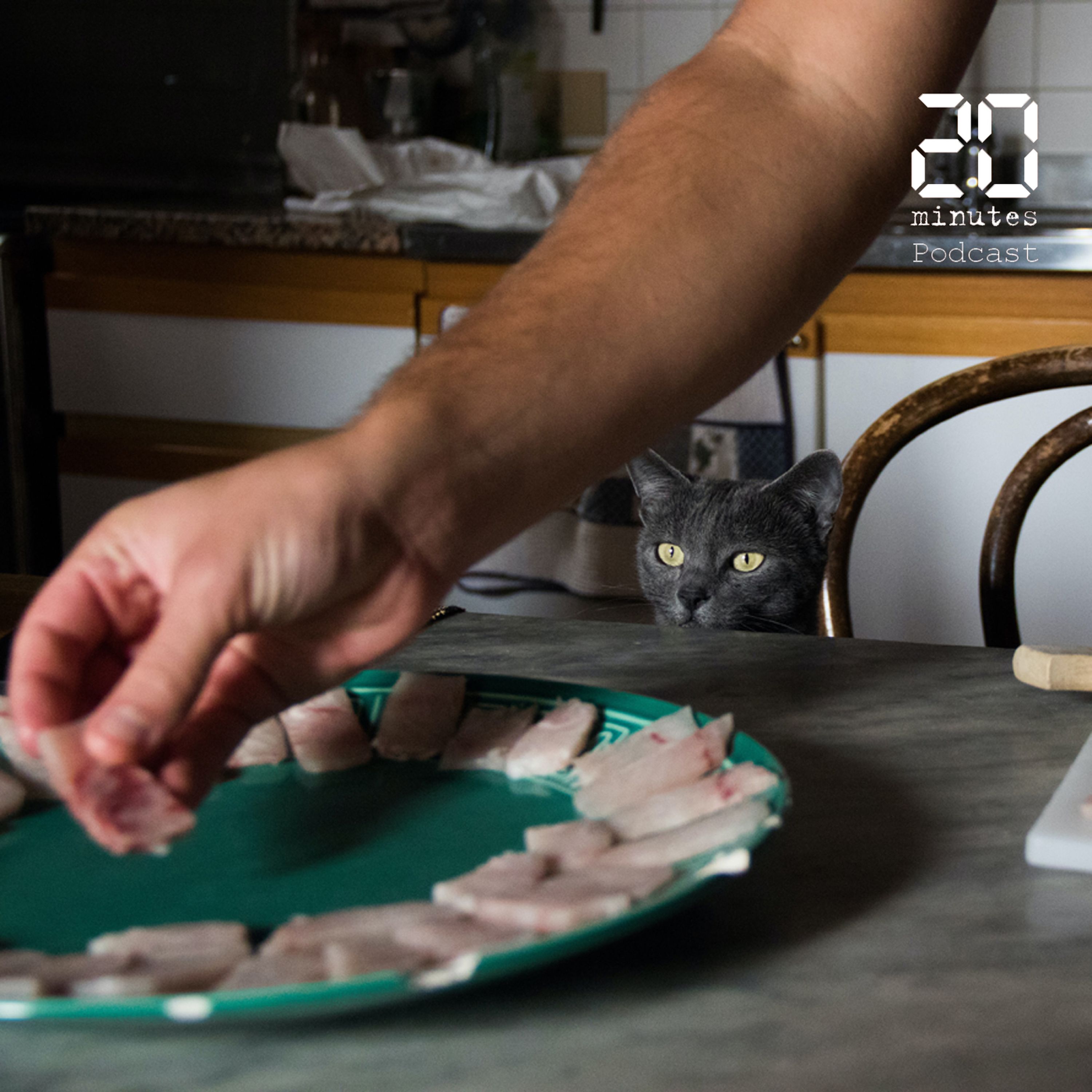 Parents confinés en crise : les conseils de la psychiatre Christine Barois