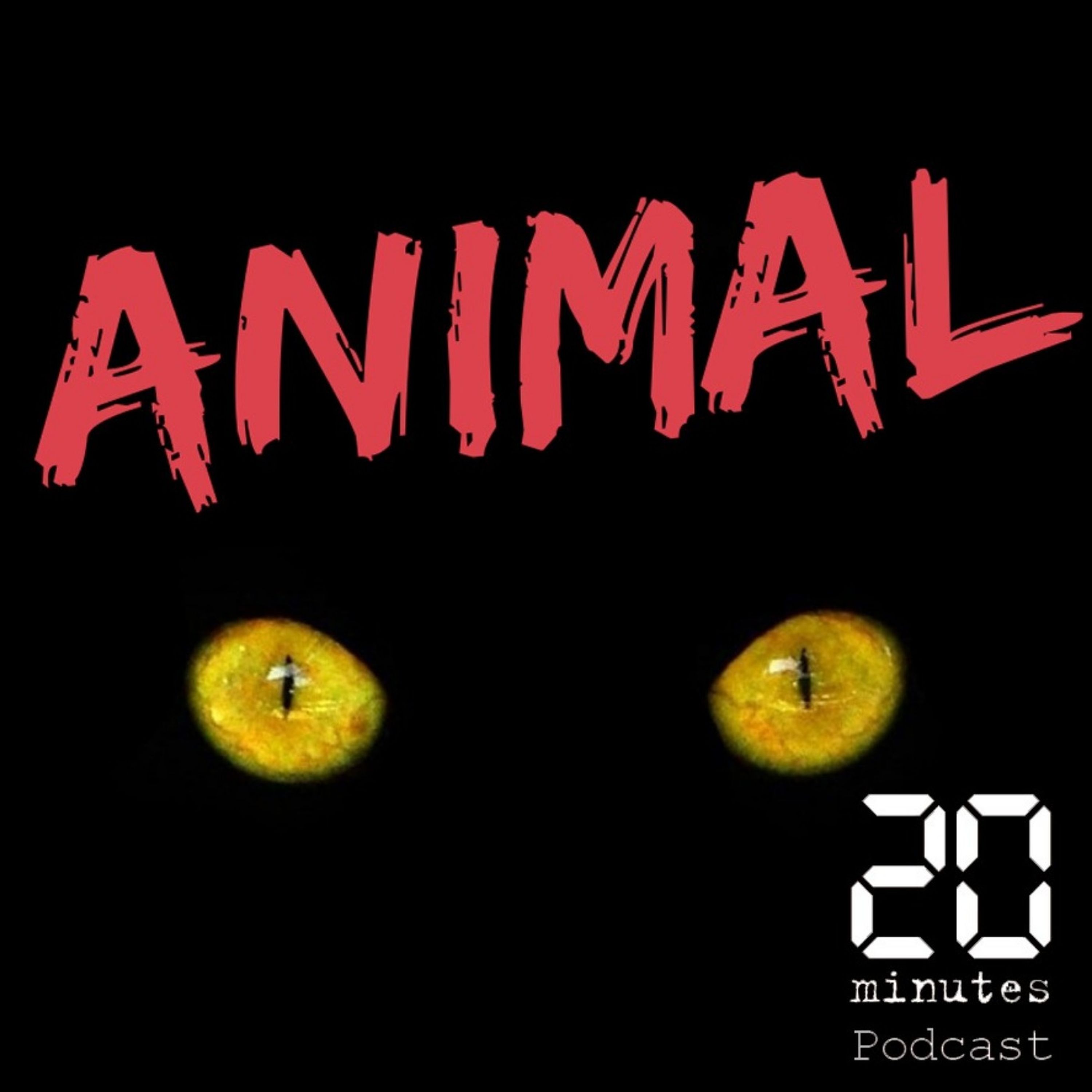 La vie rêvée des abeilles en ville