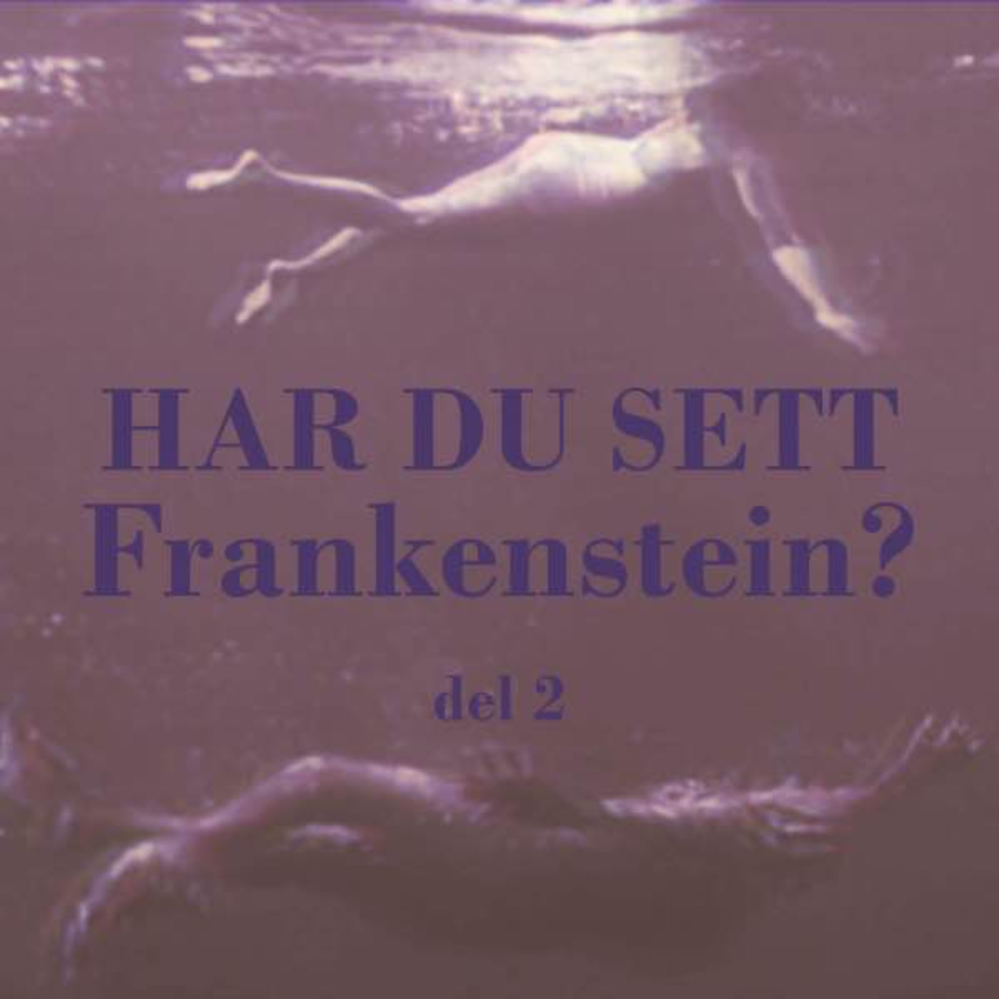 Har du sett Frankenstein? Del 2