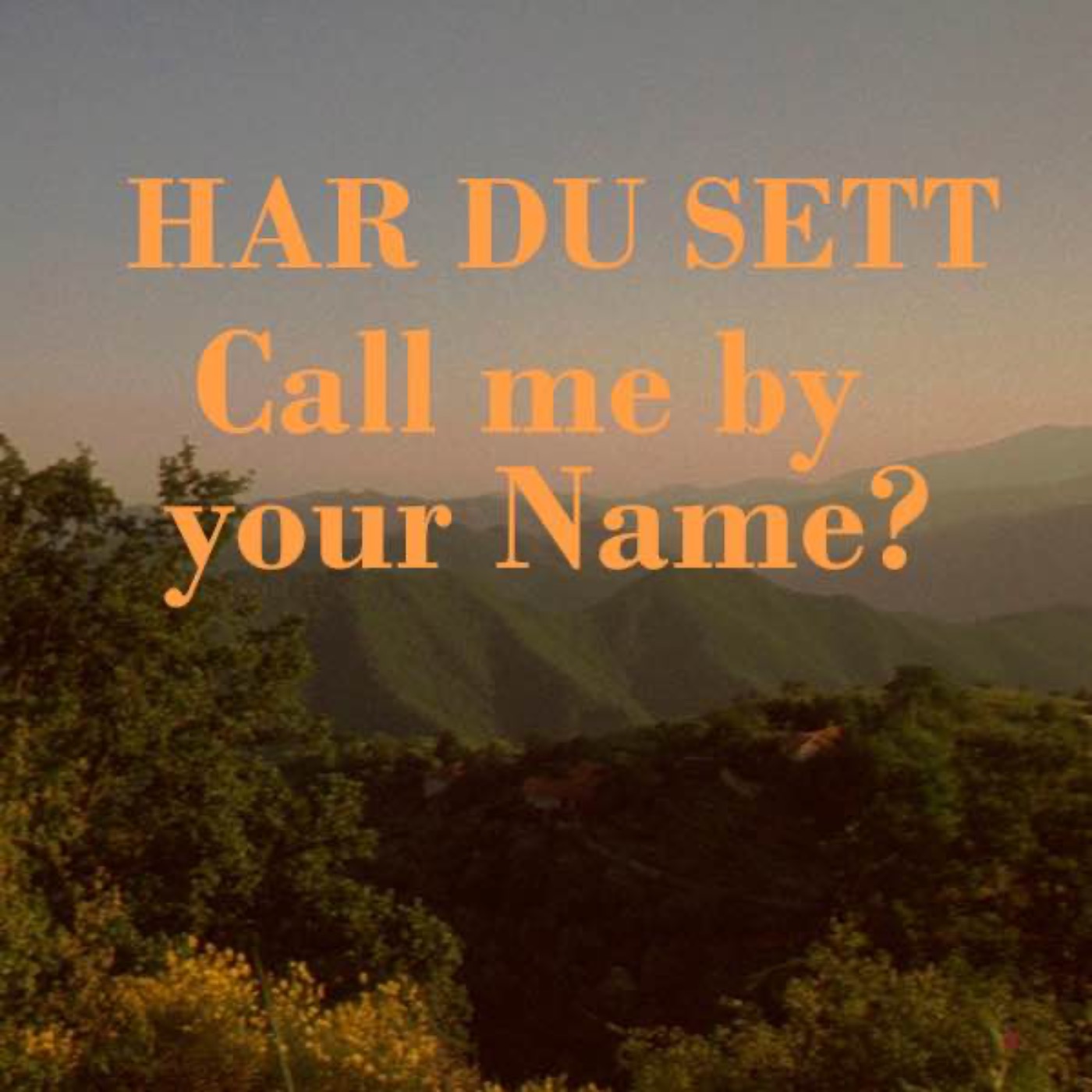 Har du sett Call me by your Name? Har du sett Call me by your Name?