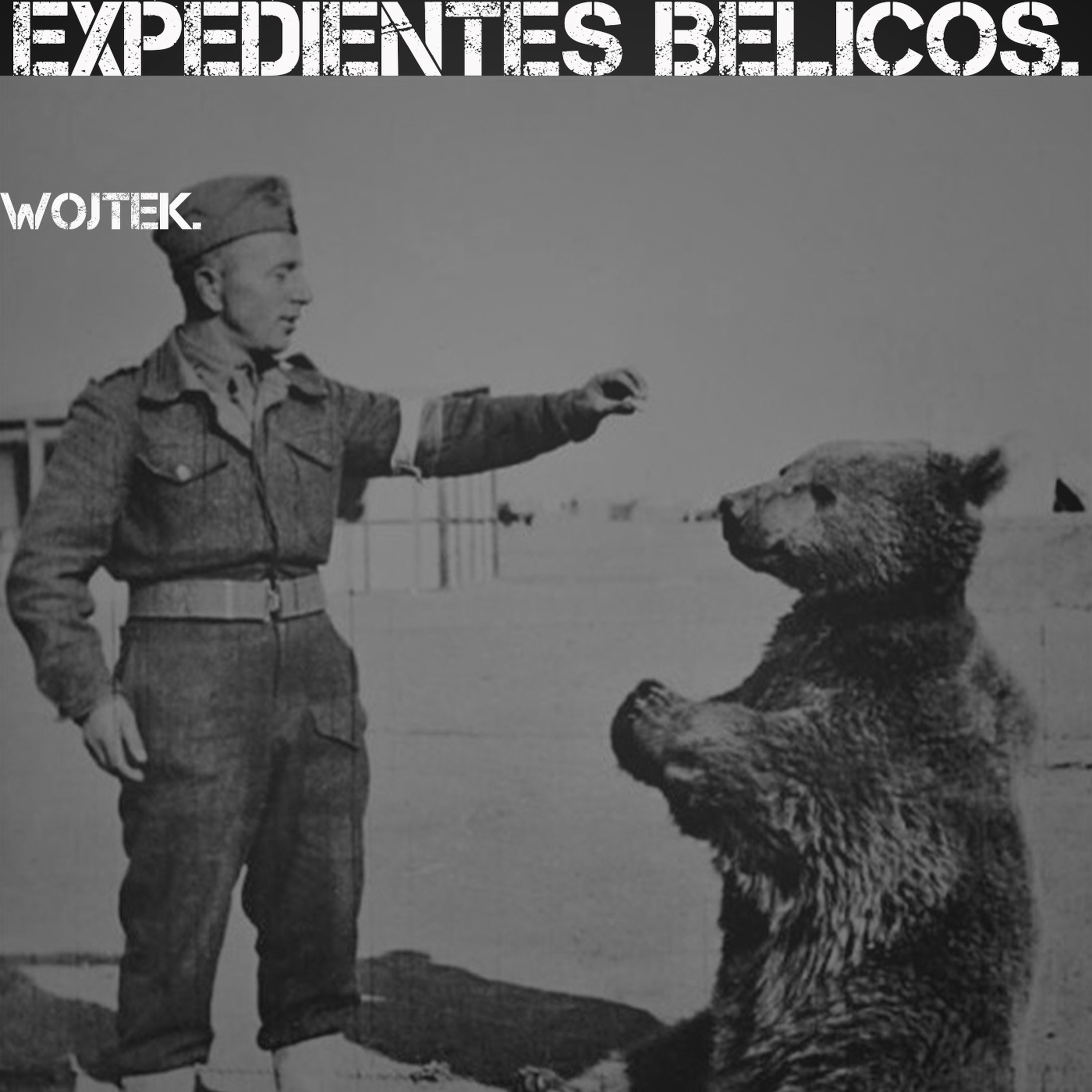 Expedientes Belicos