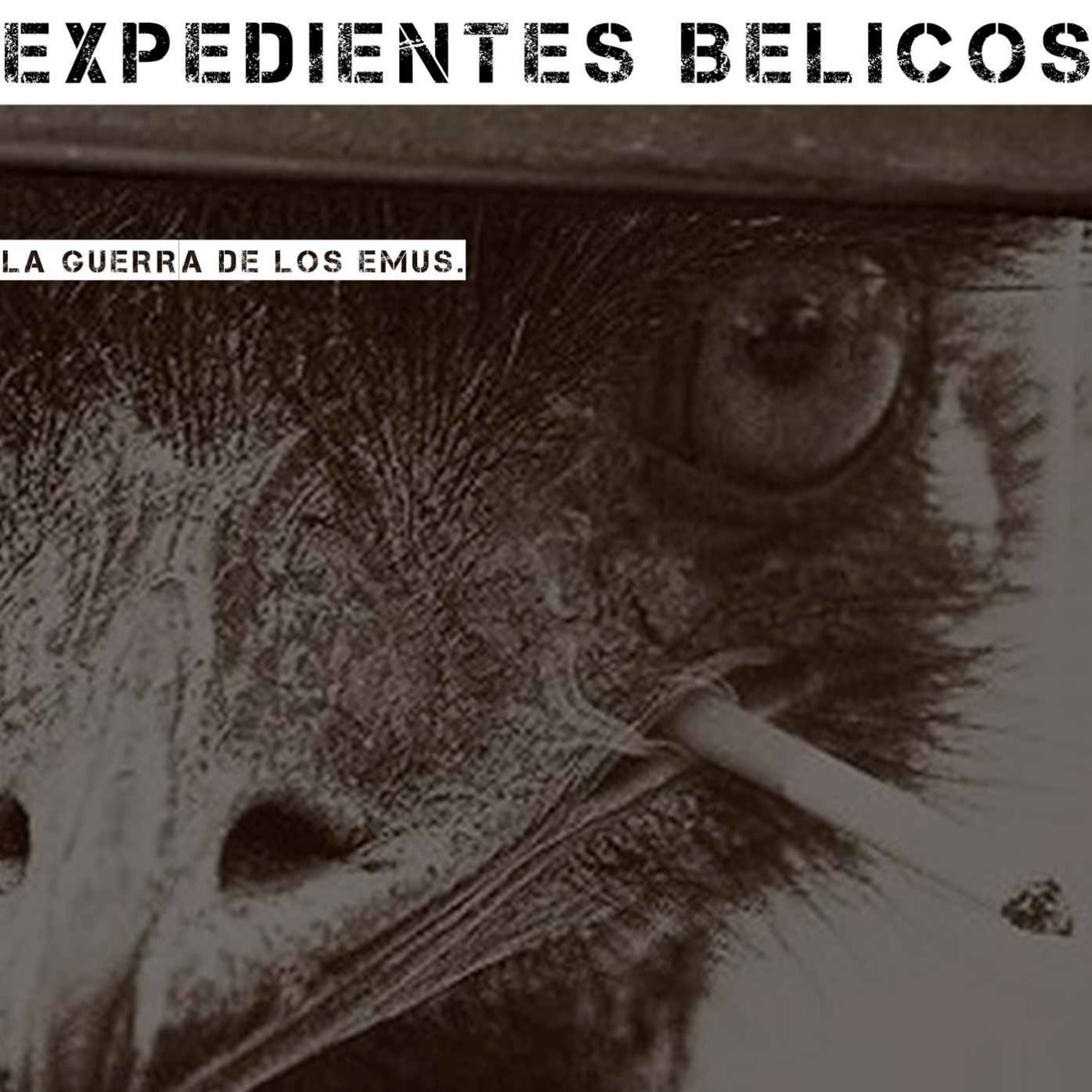 Expedientes Belicos