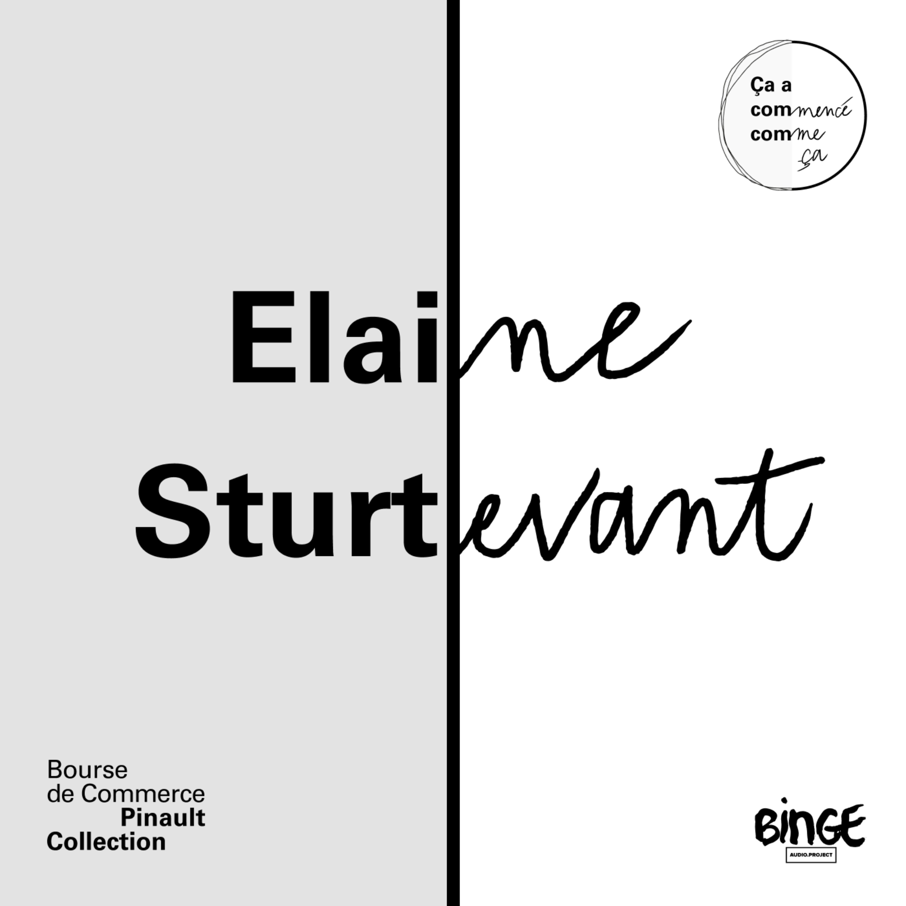Elaine Sturtevant - La réplique était presque parfaite