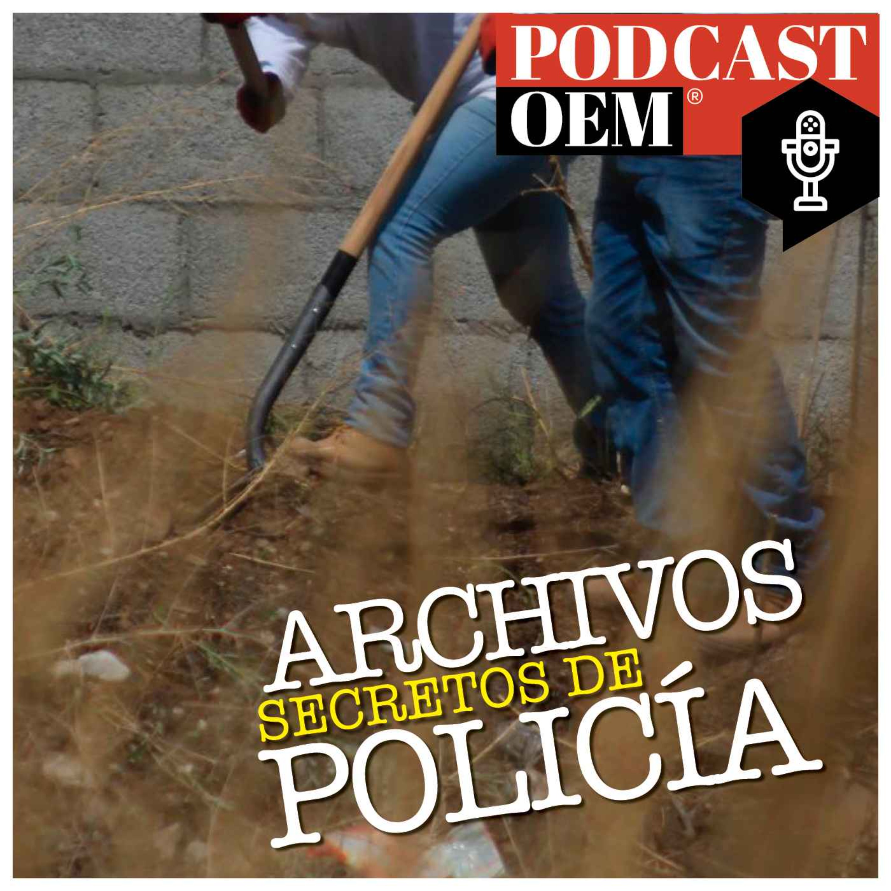 cover art for El crimen del pozo