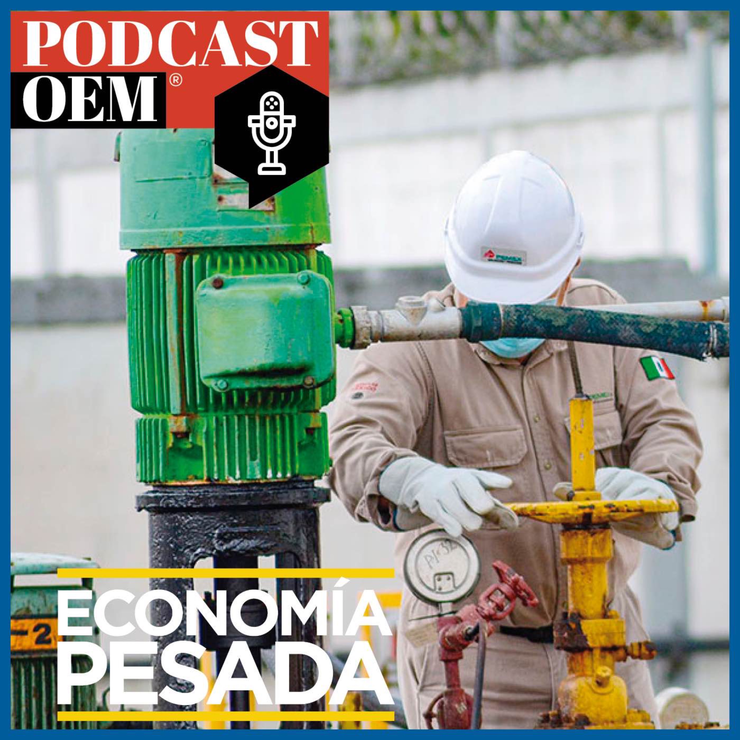 Grave, pero estable la economía mexicana