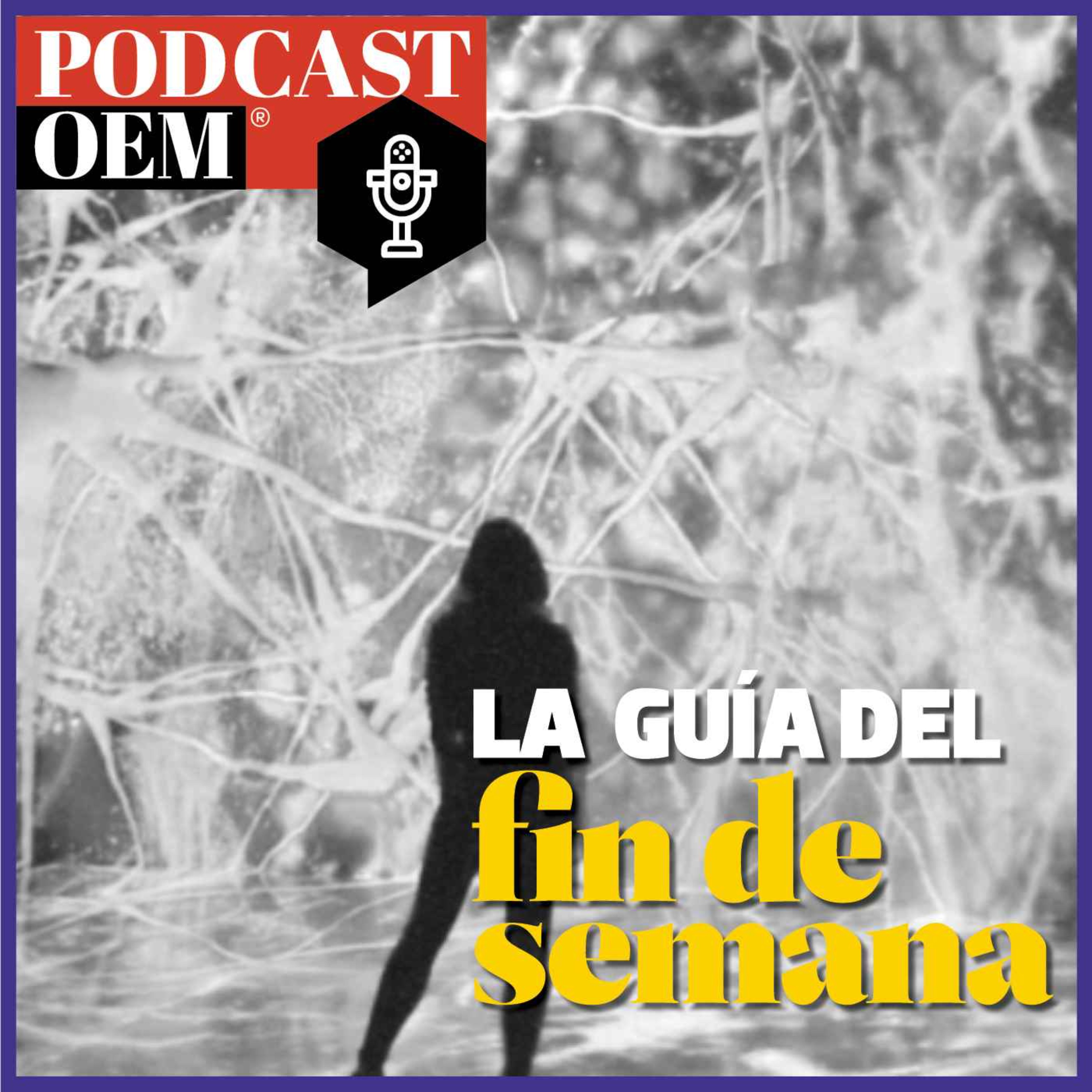 Mutek: Un festival maratónico que estimula la creatividad digital episode artwork