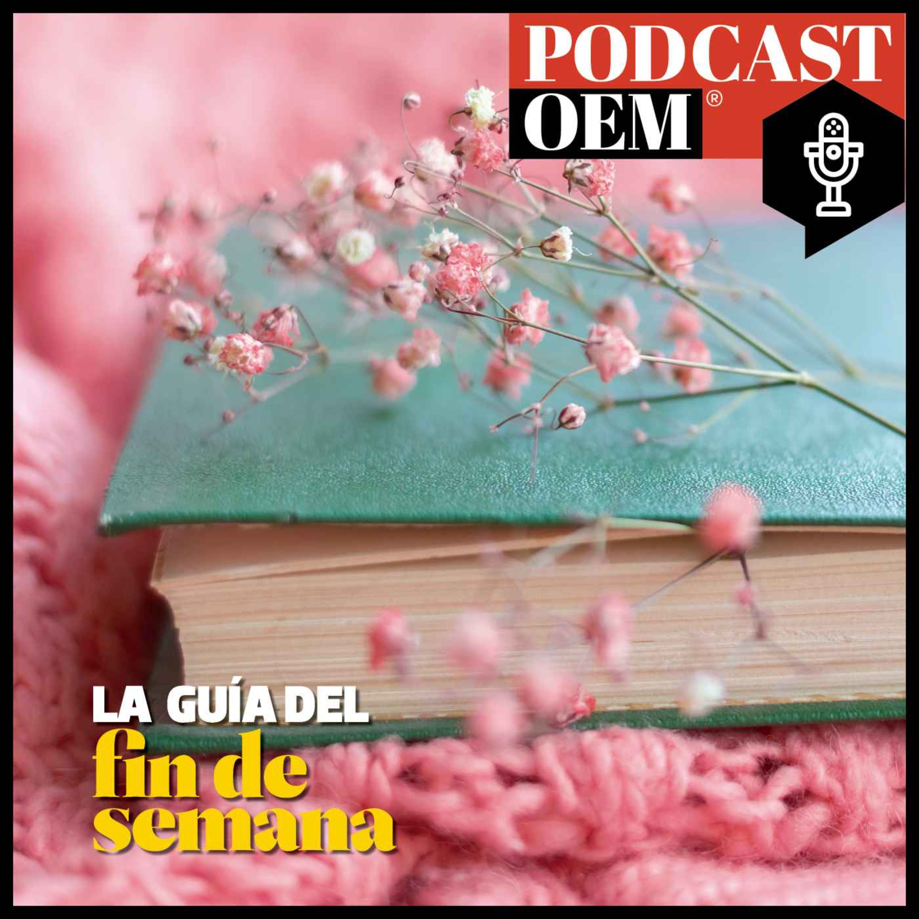 cover art for Todo sobre la Fiesta del Libro y la Rosa