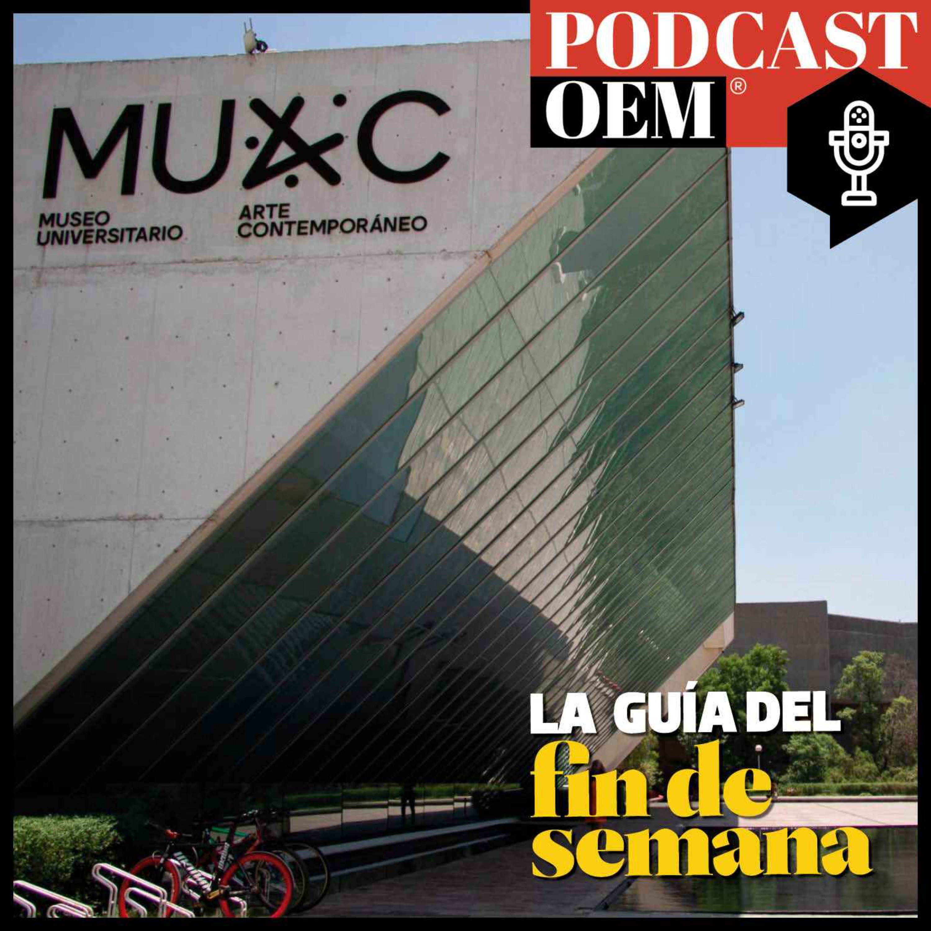cover art for Los XV del MUAC