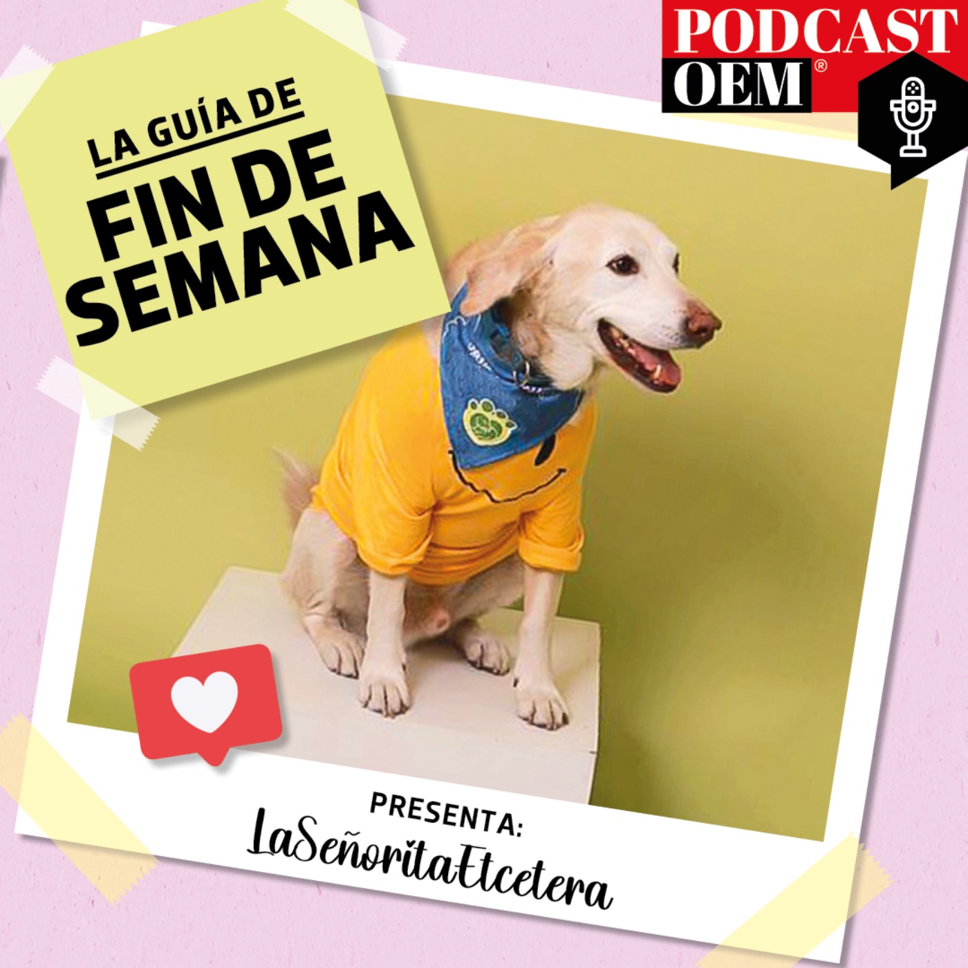 Una guía con Pet Friendly Mx
