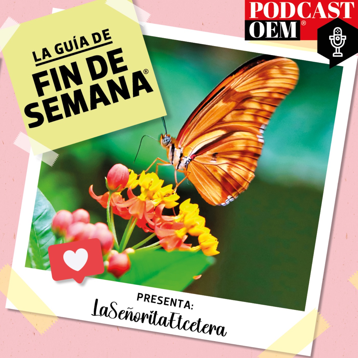 U​n recorrido por el Mariposario de Chapultepec episode artwork