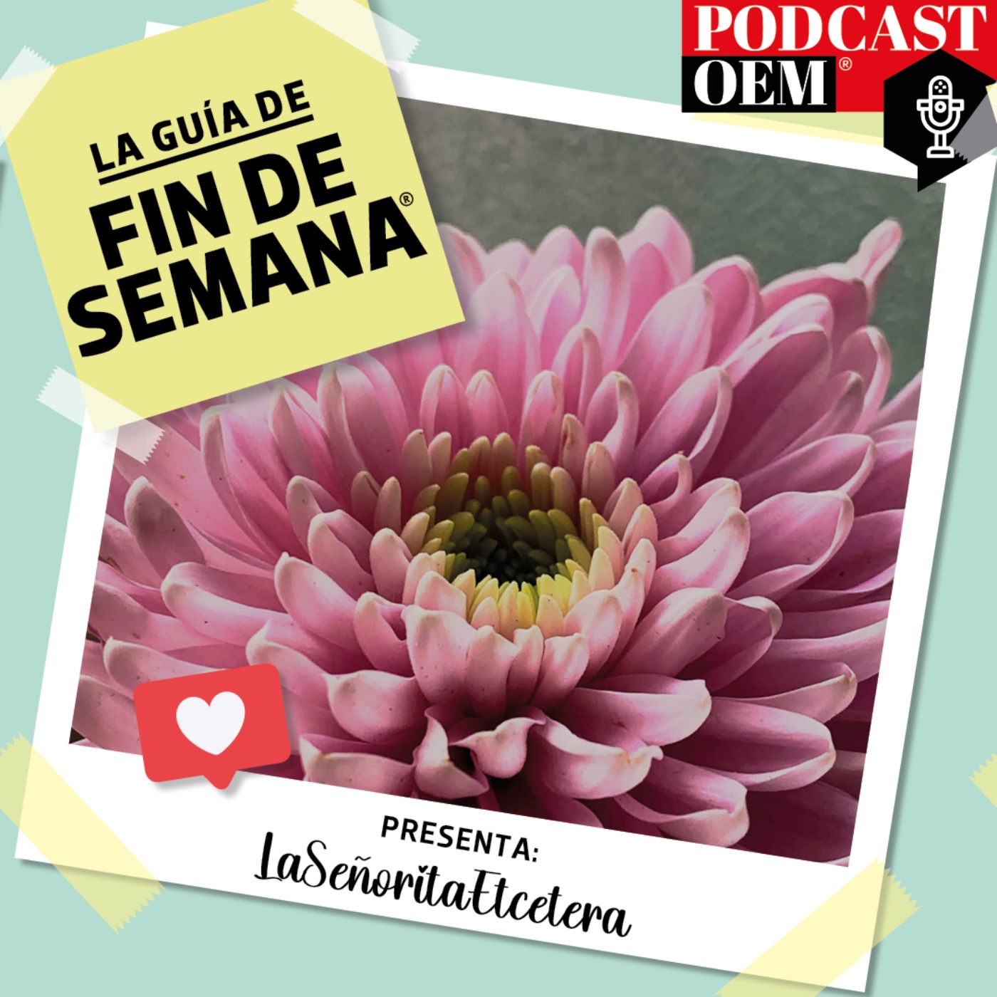 Dalia: Sigue a la flor nacional de México​