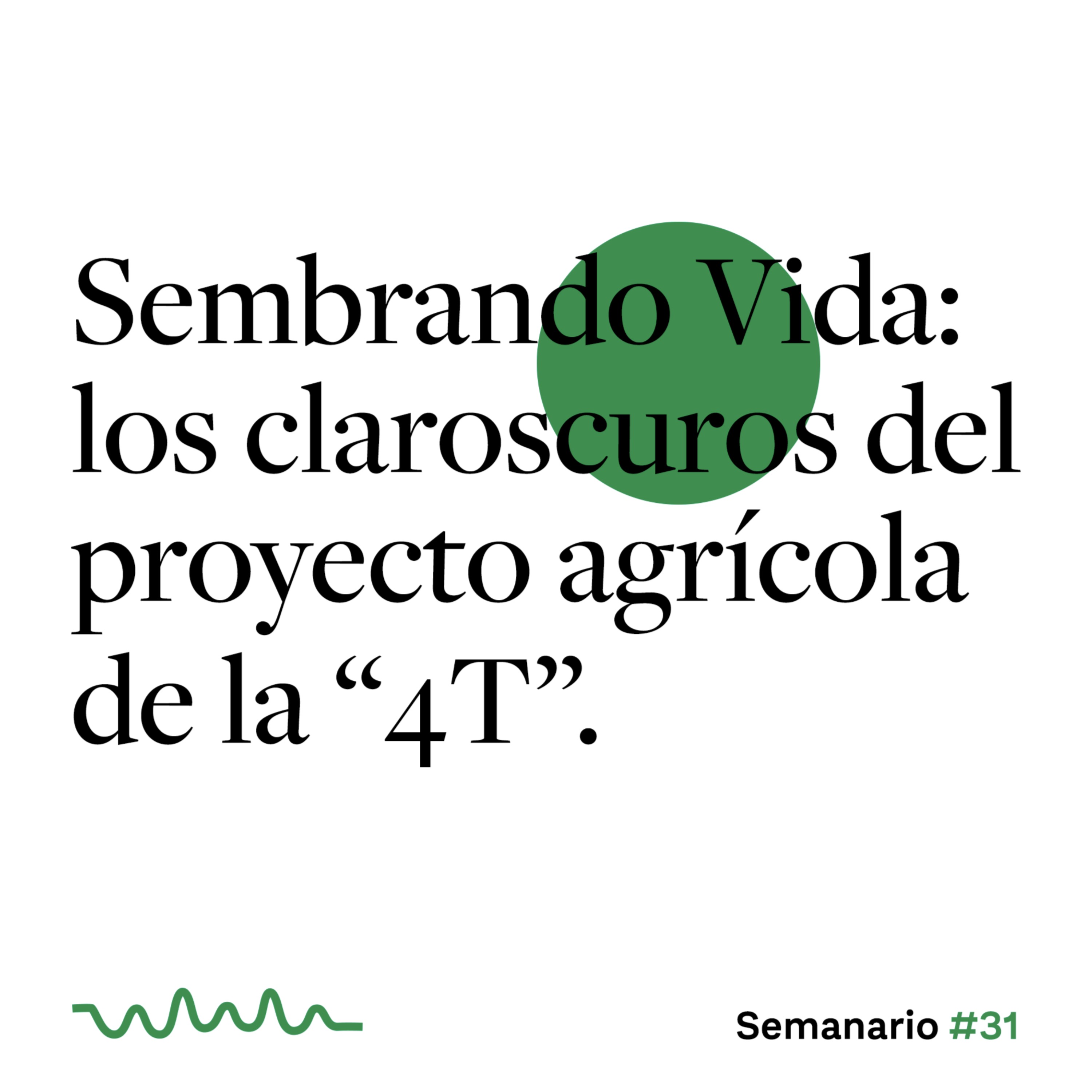 Sembrando Vida: los claroscuros del proyecto agrícola de la 