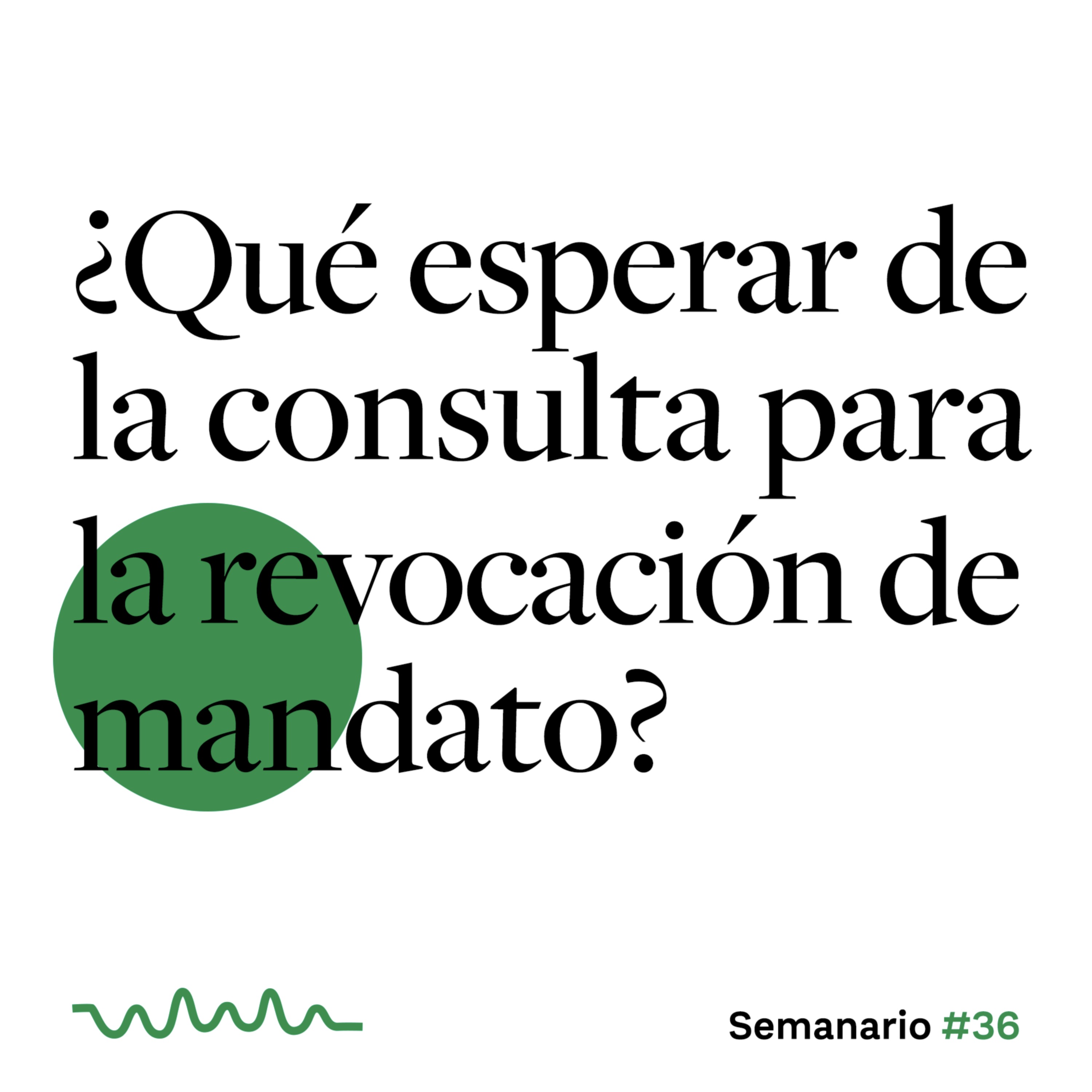¿Qué esperar de la consulta para la revocación de mandato? episode artwork