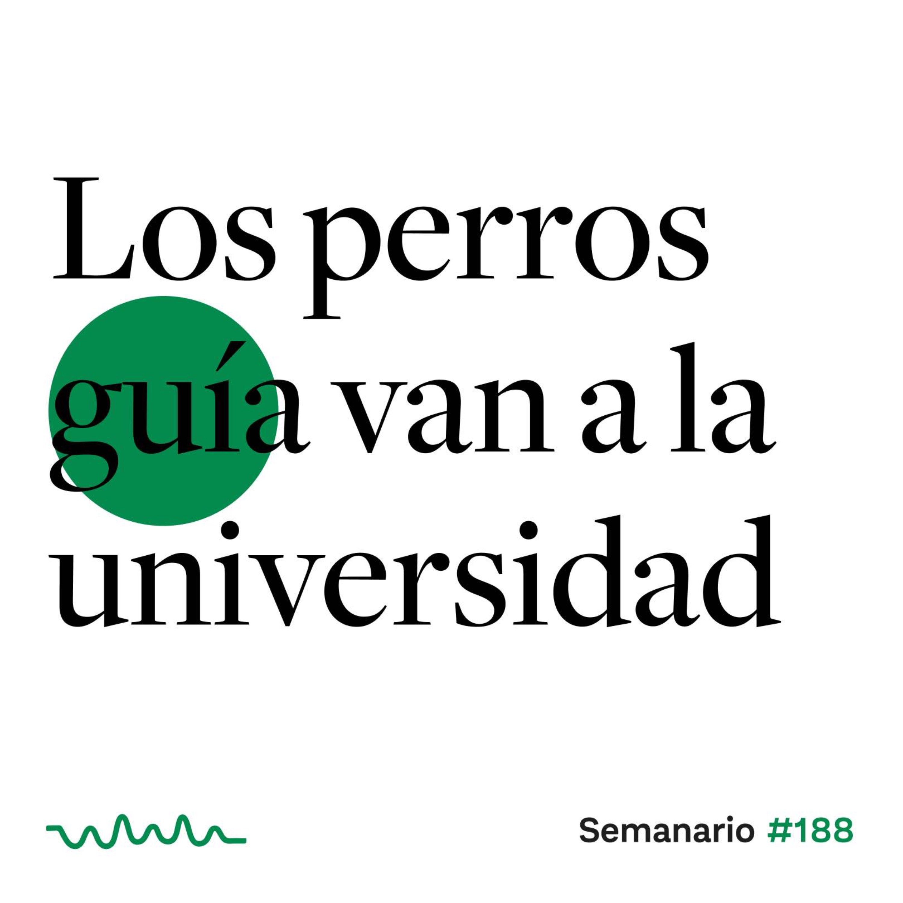 Semanario Gatopardo