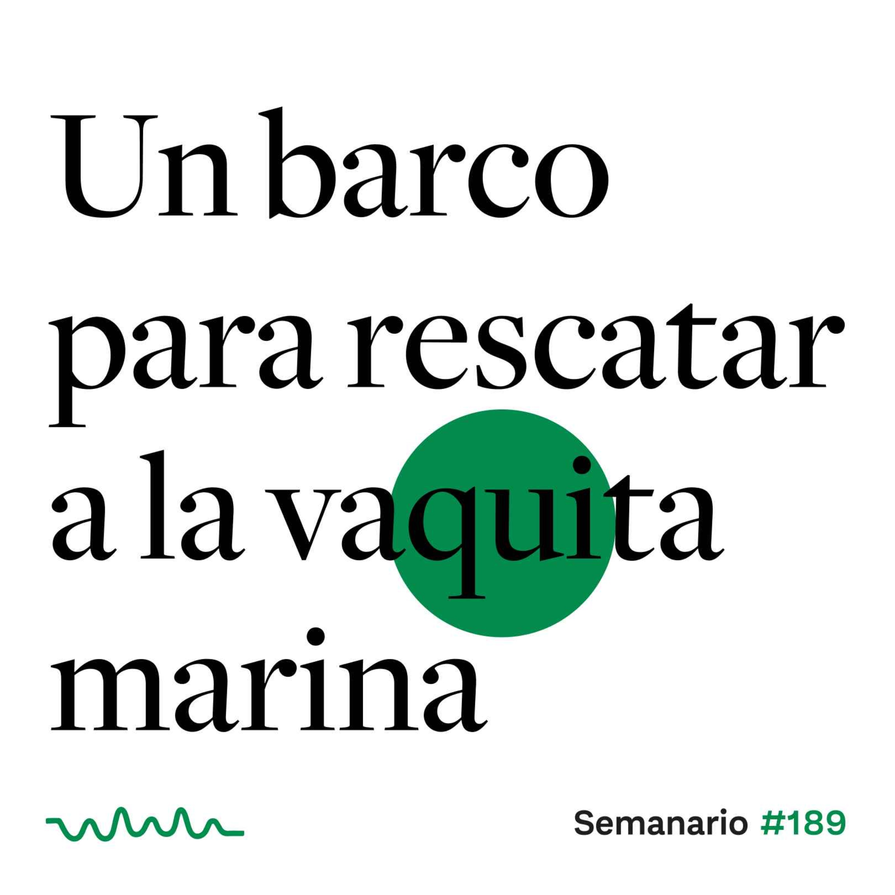 Un barco para rescatar a la vaquita marina