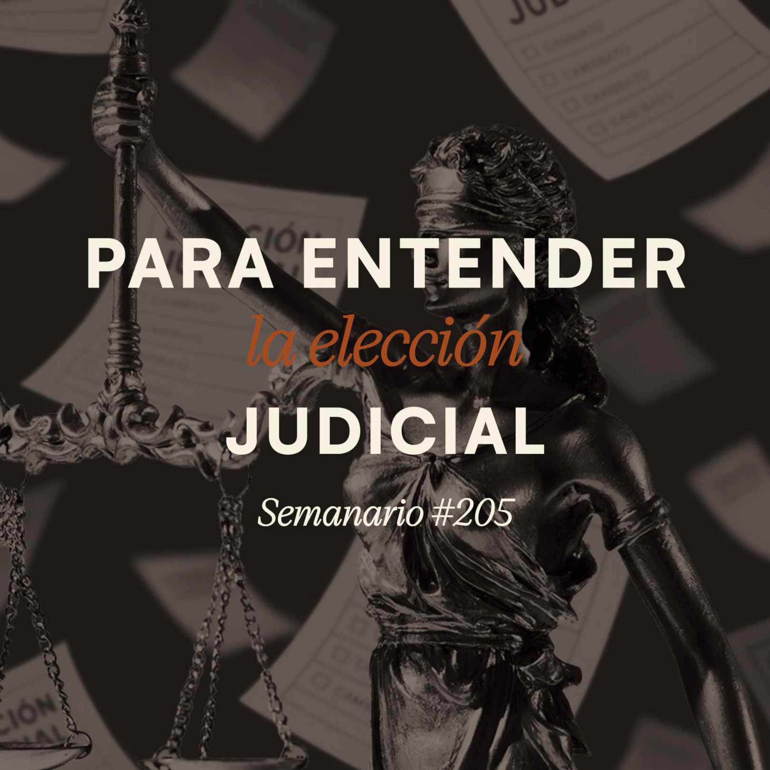 Para entender la elección judicial