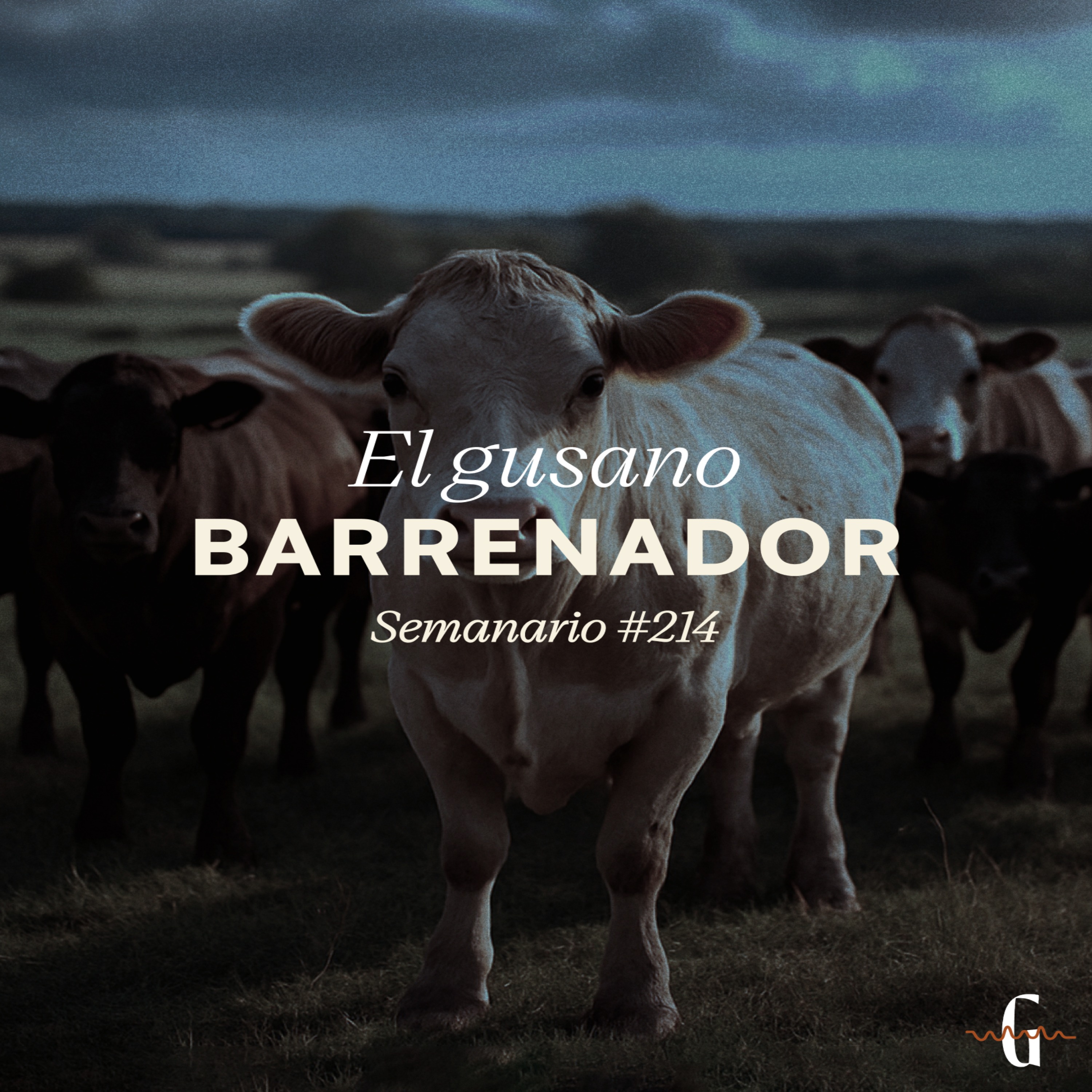Semanario Gatopardo