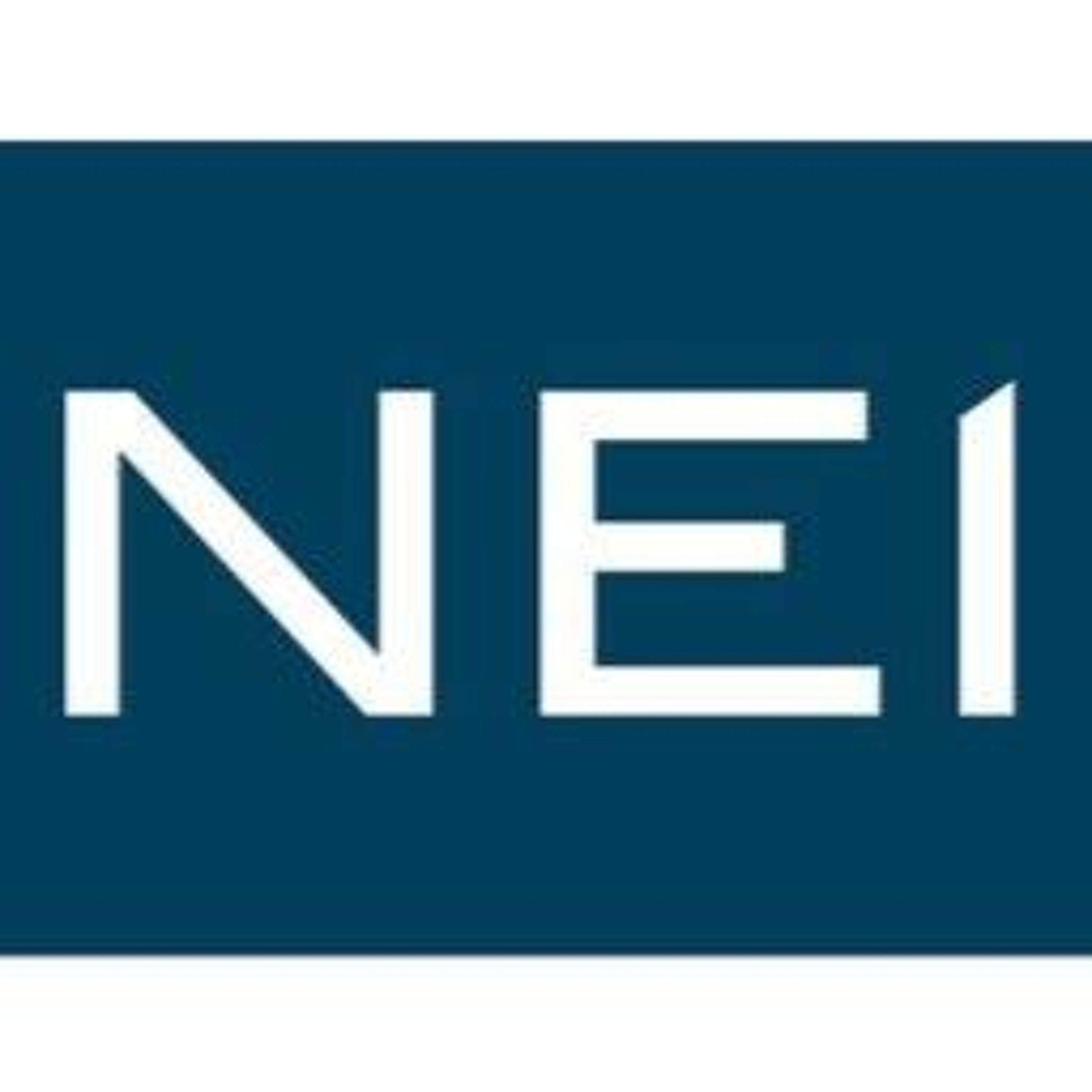 NEI Investments Market Update