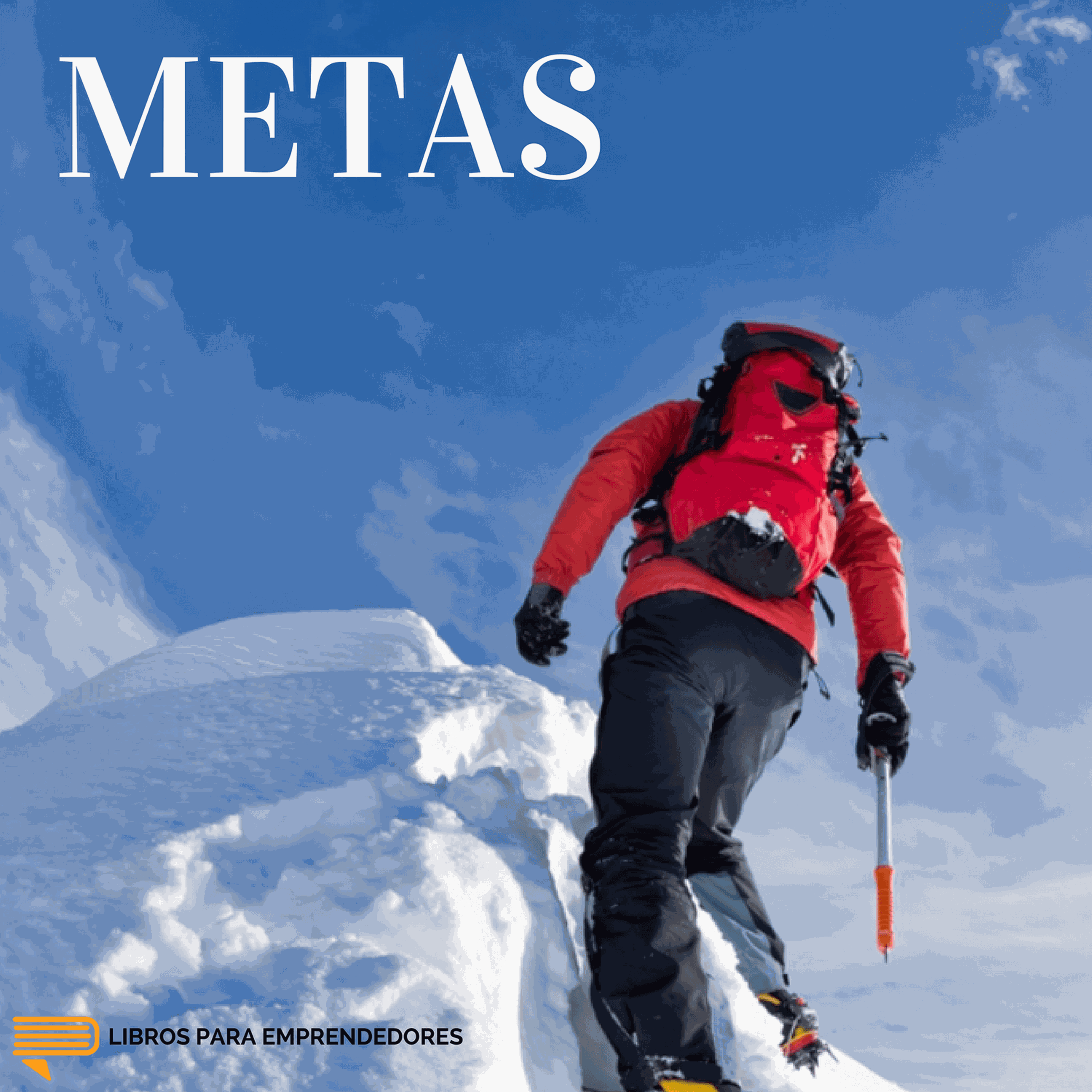 #033 - Metas