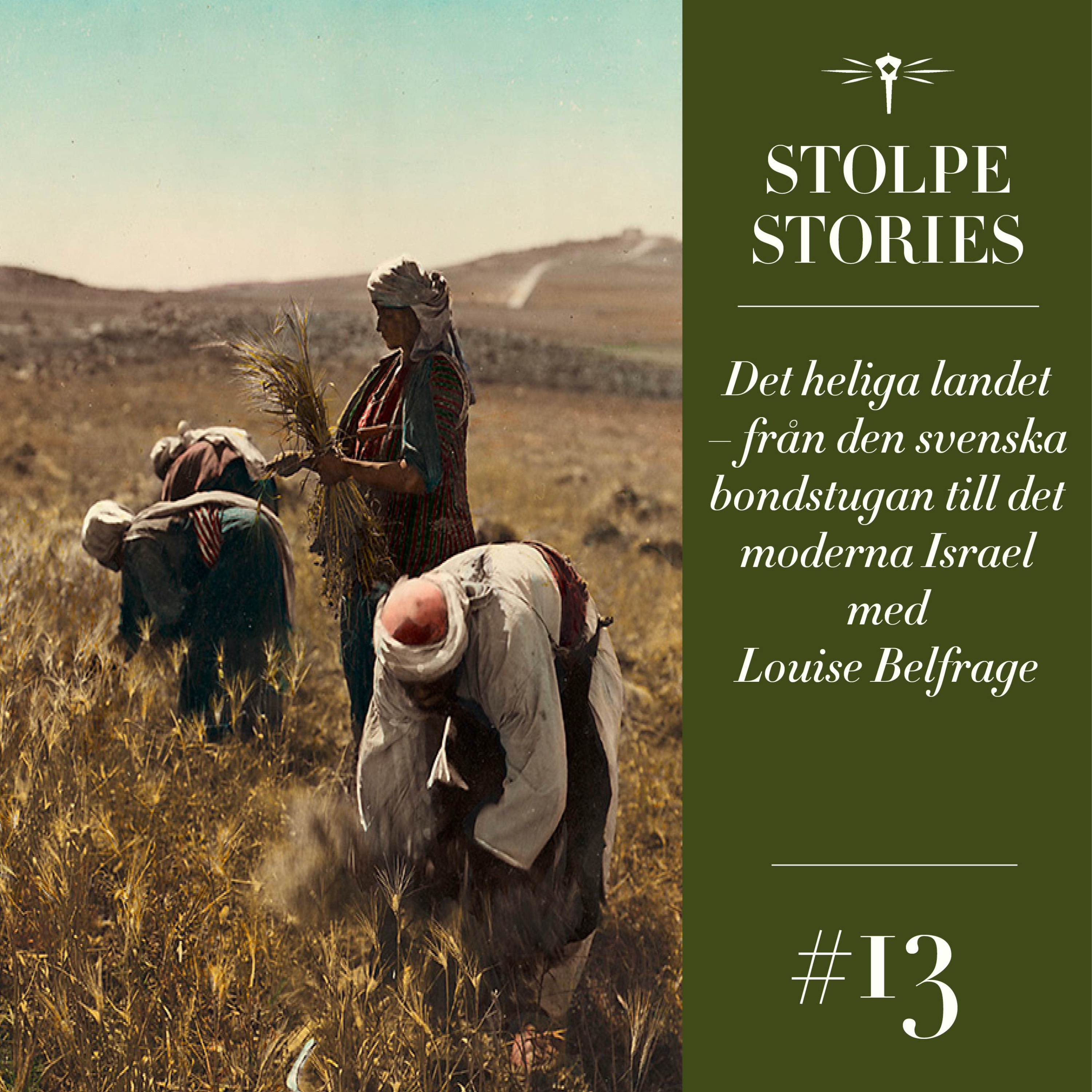 Stolpe Stories