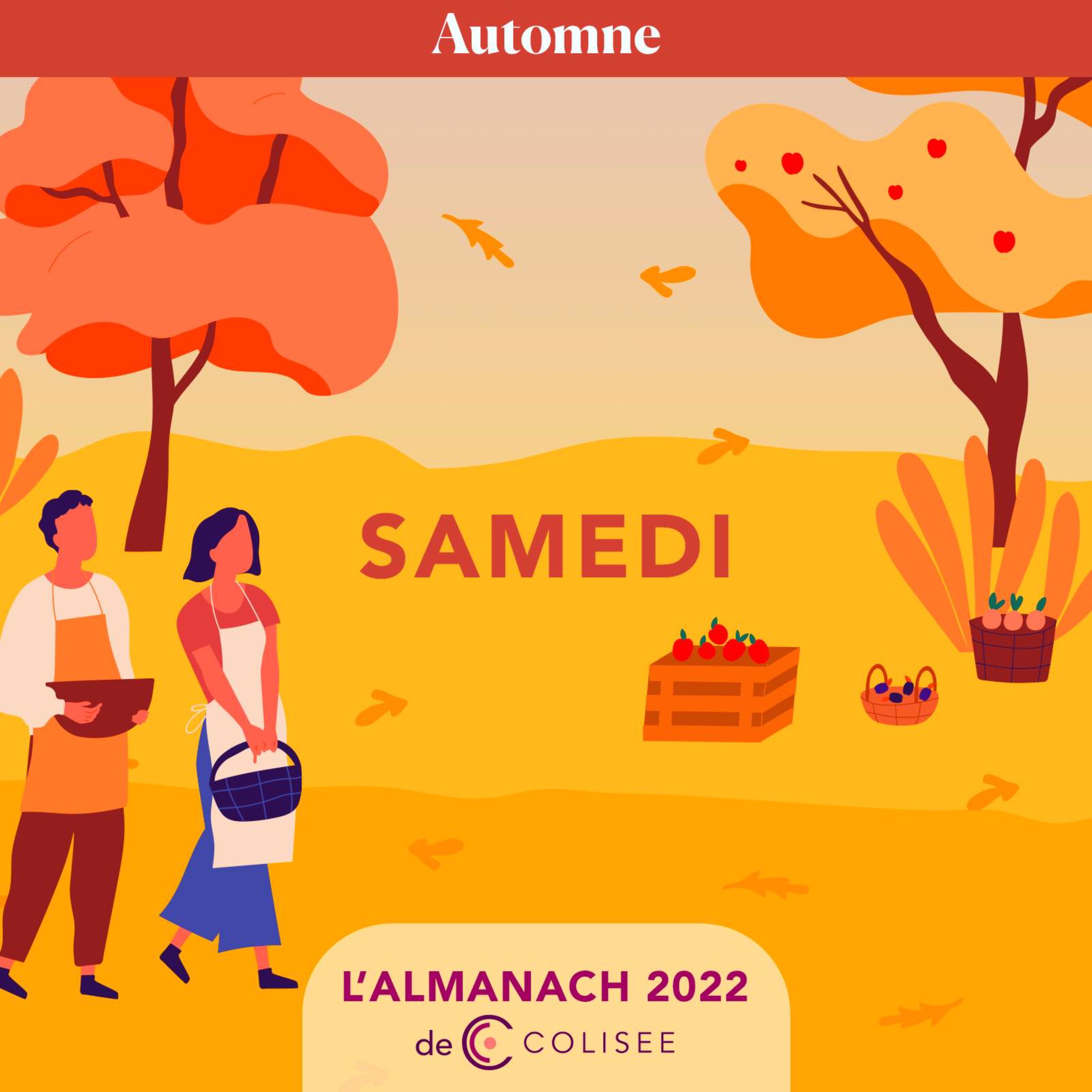 Samedi 22 Octobre 2022 - Sainte Élodie - Moutarde Dijon