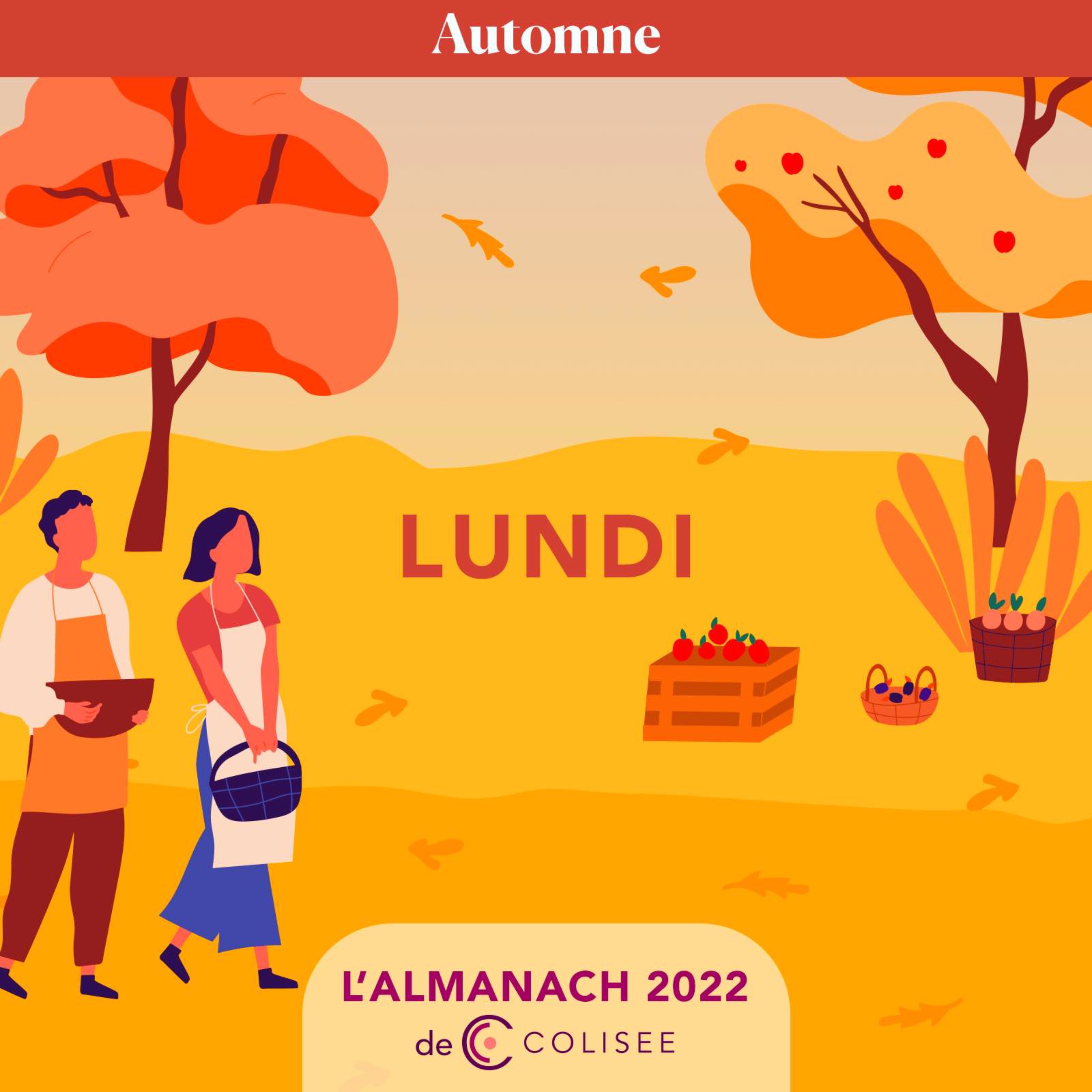Lundi 24 Octobre 2022 - Saint Florentin - Ortie